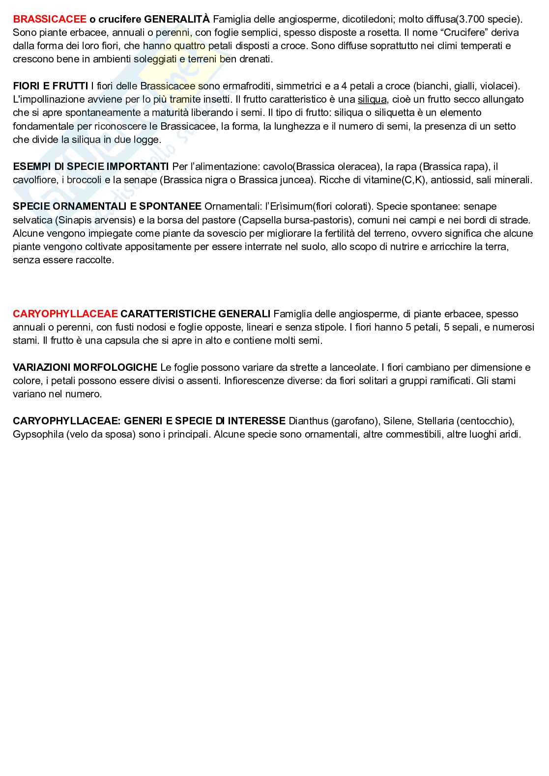 Appunti per Botanica applicata all'architettura Pag. 16