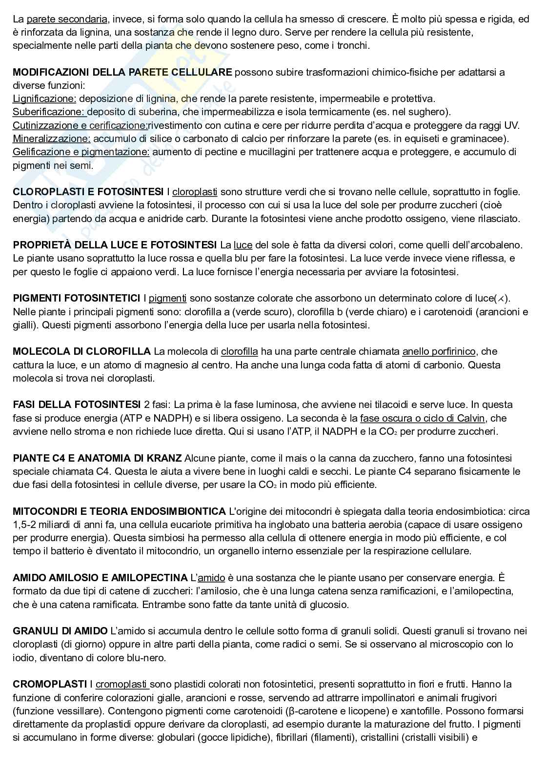 Appunti per Botanica applicata all'architettura Pag. 2