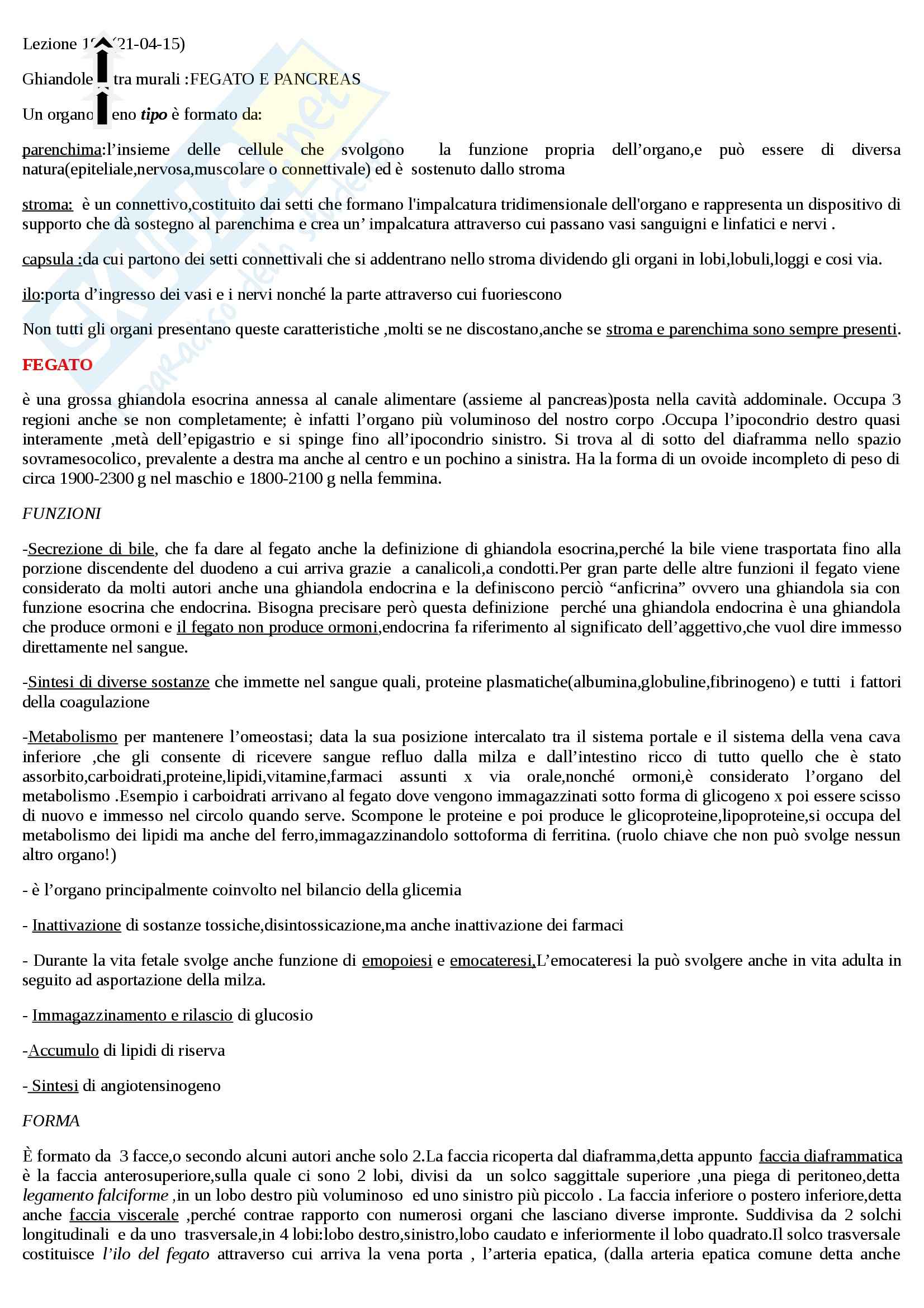 Fegato e pancreas Pag. 1