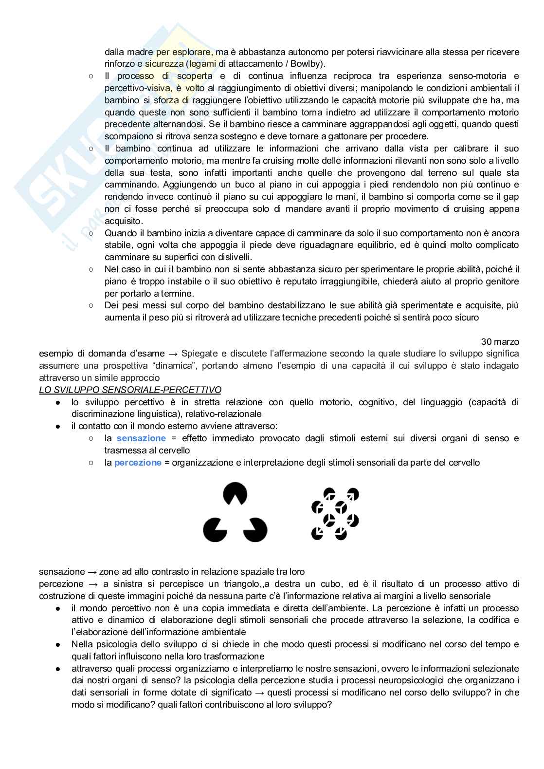 Psicologia dello sviluppo  Pag. 31