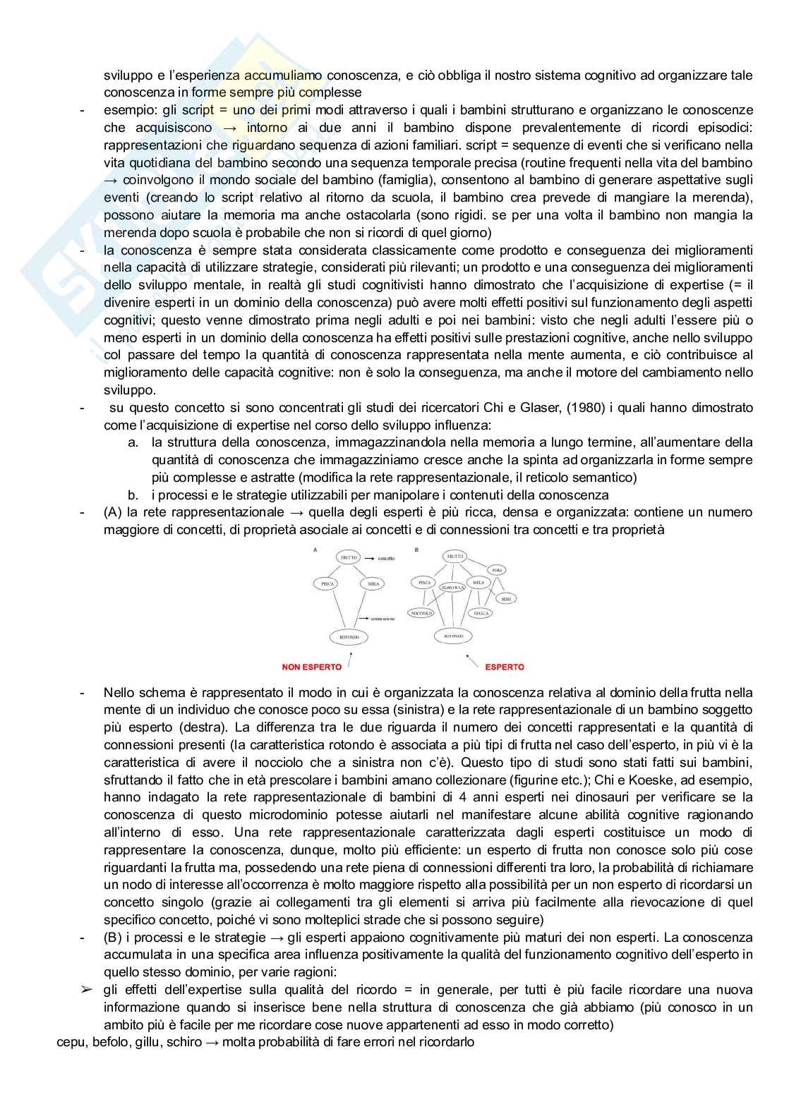 Psicologia dello sviluppo  Pag. 61