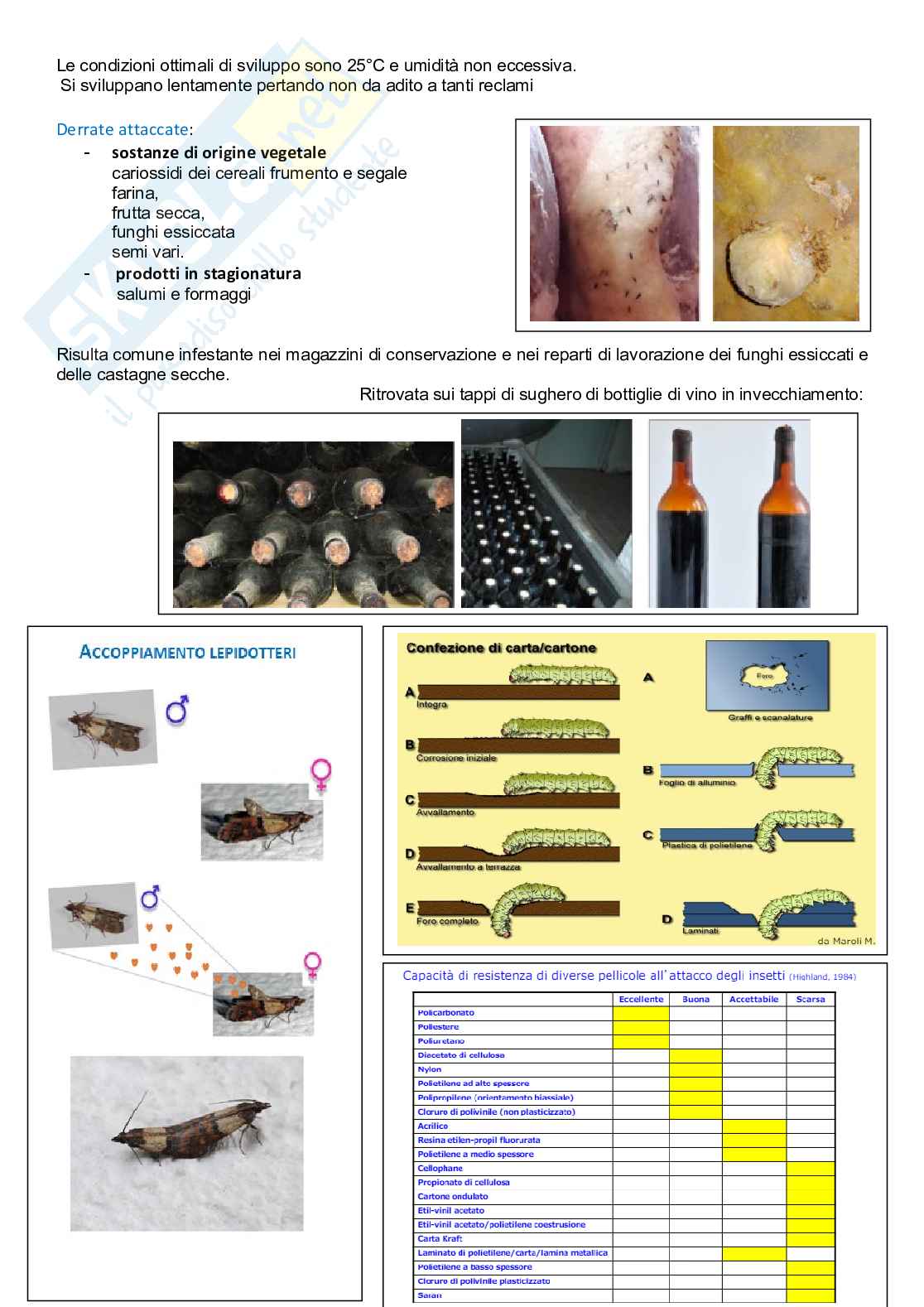 Scheda di ripasso degli infestanti di Protezione degli alimenti Pag. 36