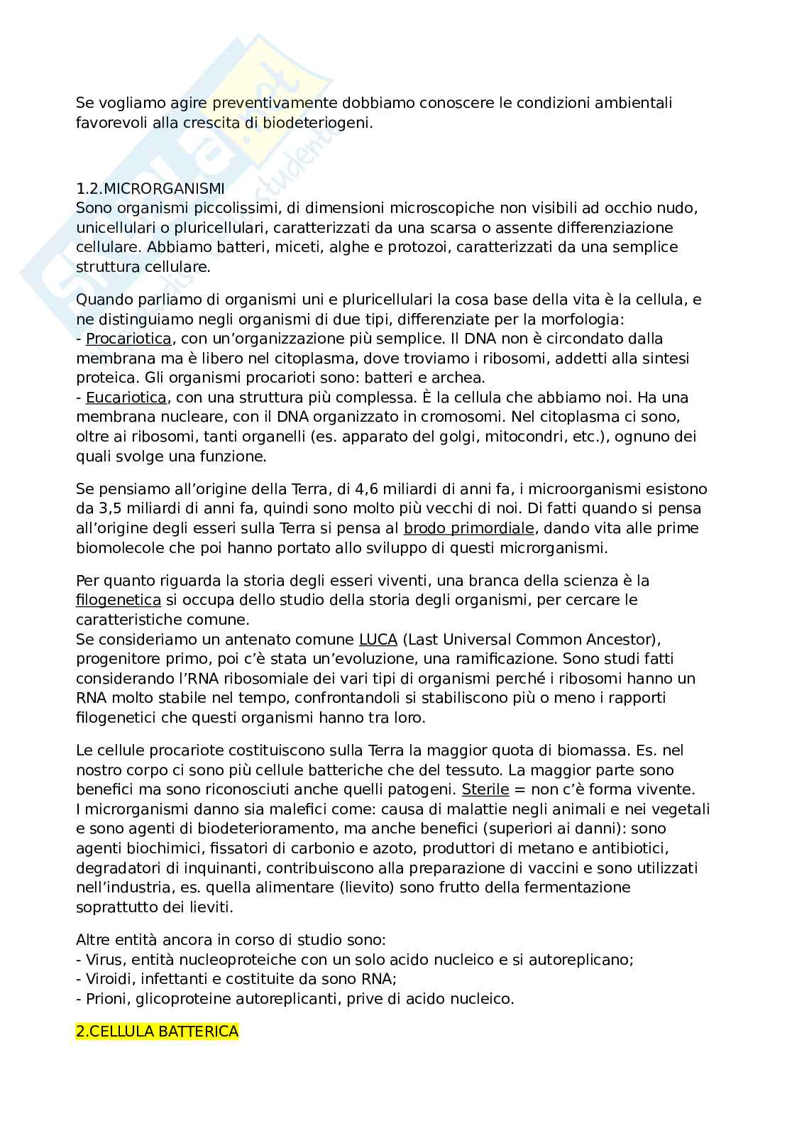 Microbiologia applicata ai beni culturali  Pag. 2