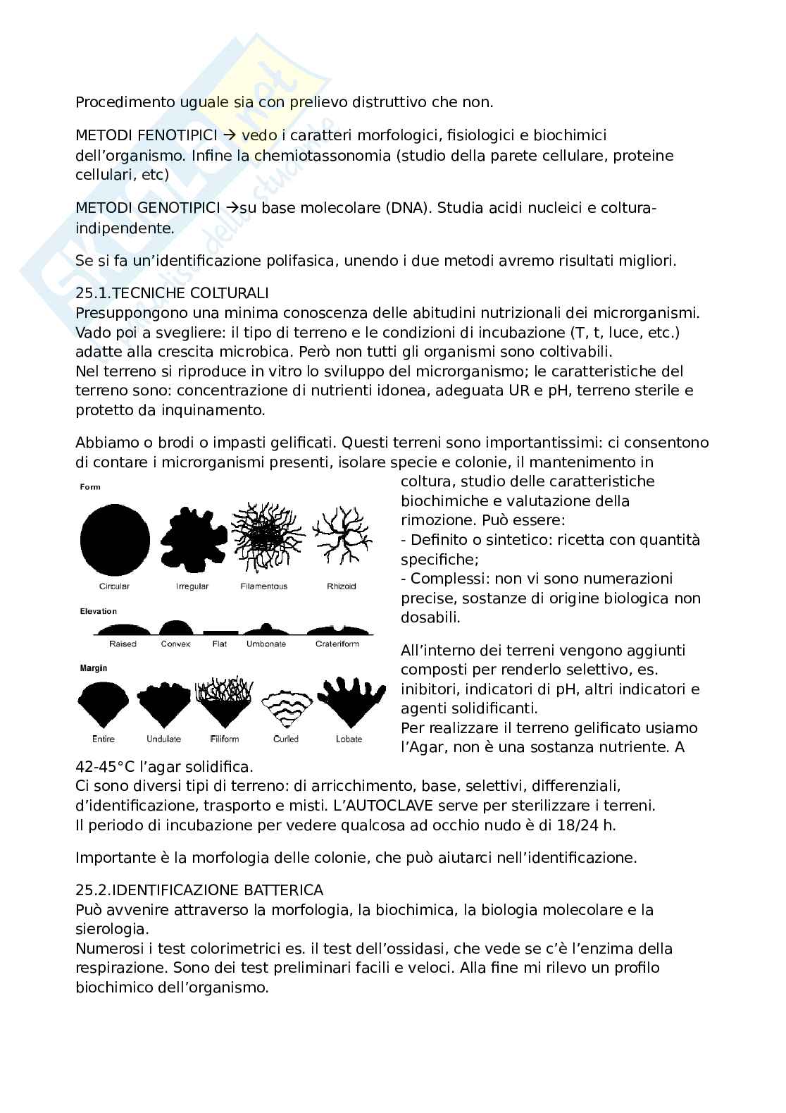 Microbiologia applicata ai beni culturali  Pag. 56