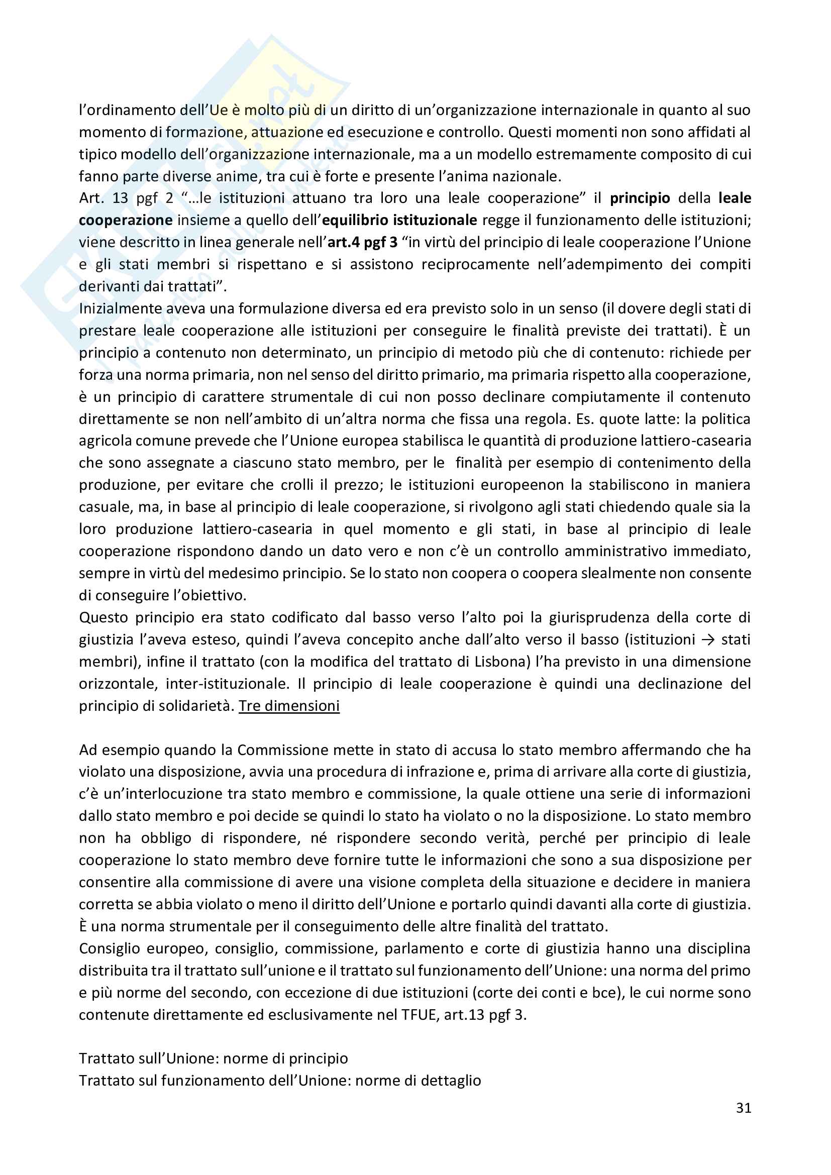 Appunti Diritto dell'Unione Europea Pag. 31