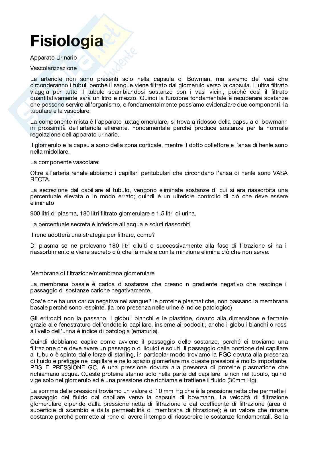 Apparato urinario Pag. 1