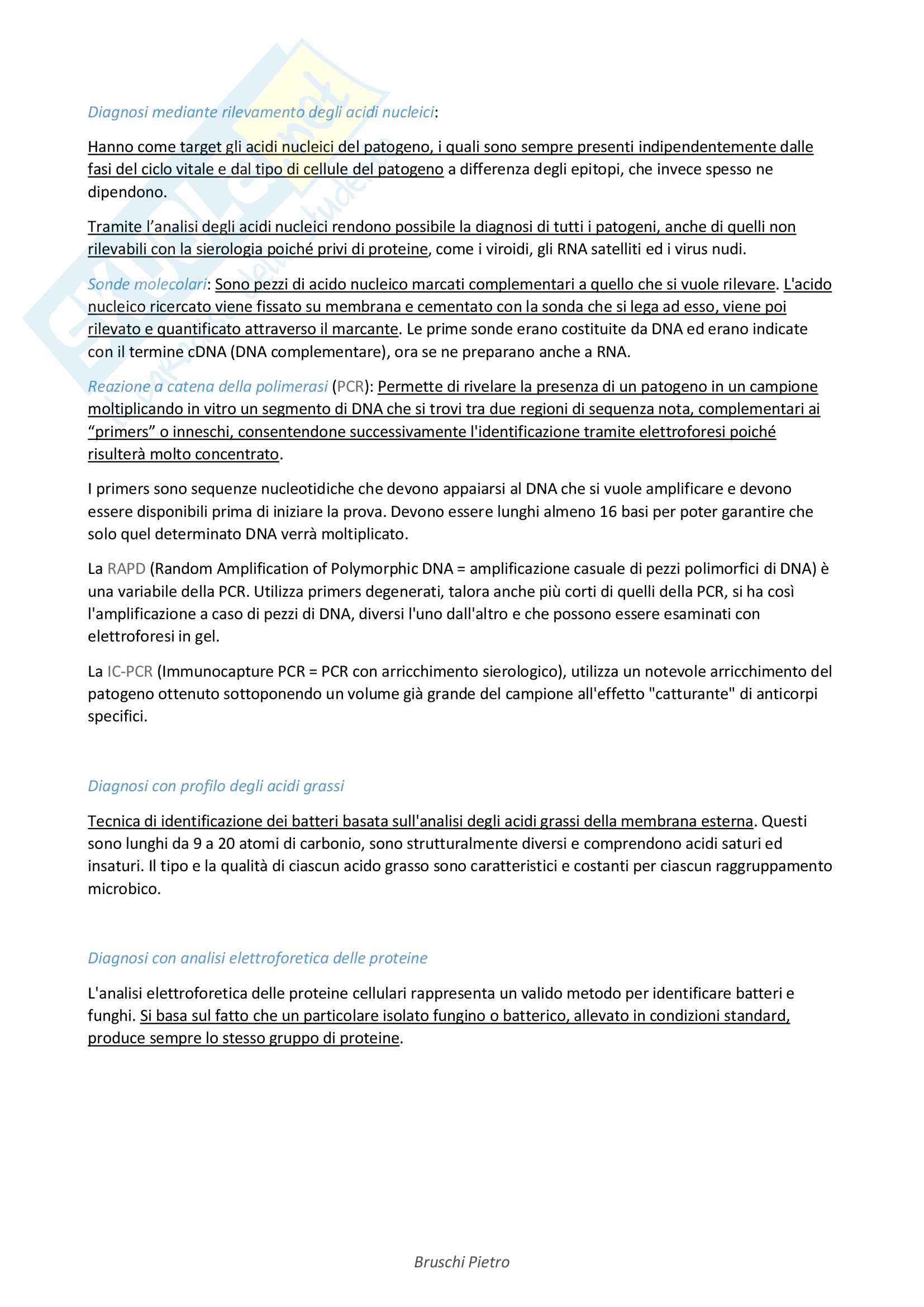 Riassunto patologia vegetale nei vivai e delle alberature Pag. 6