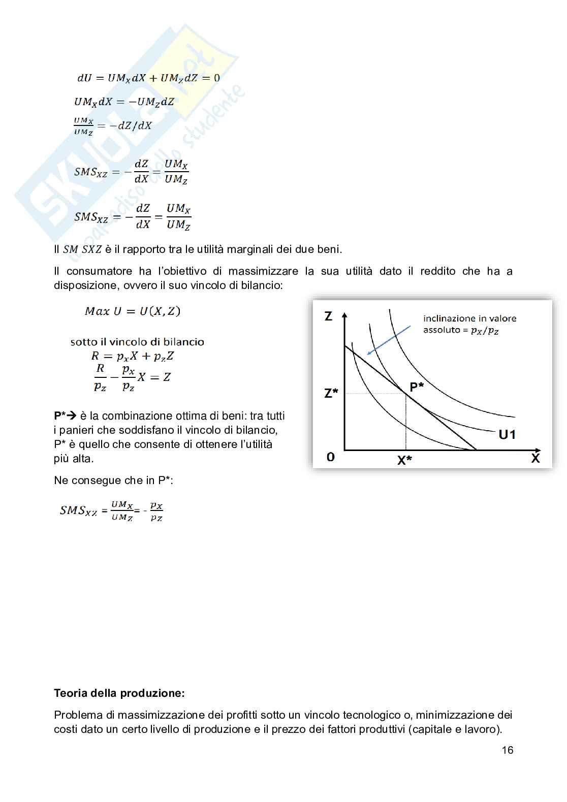Appunti di Scienza delle finanze Pag. 16
