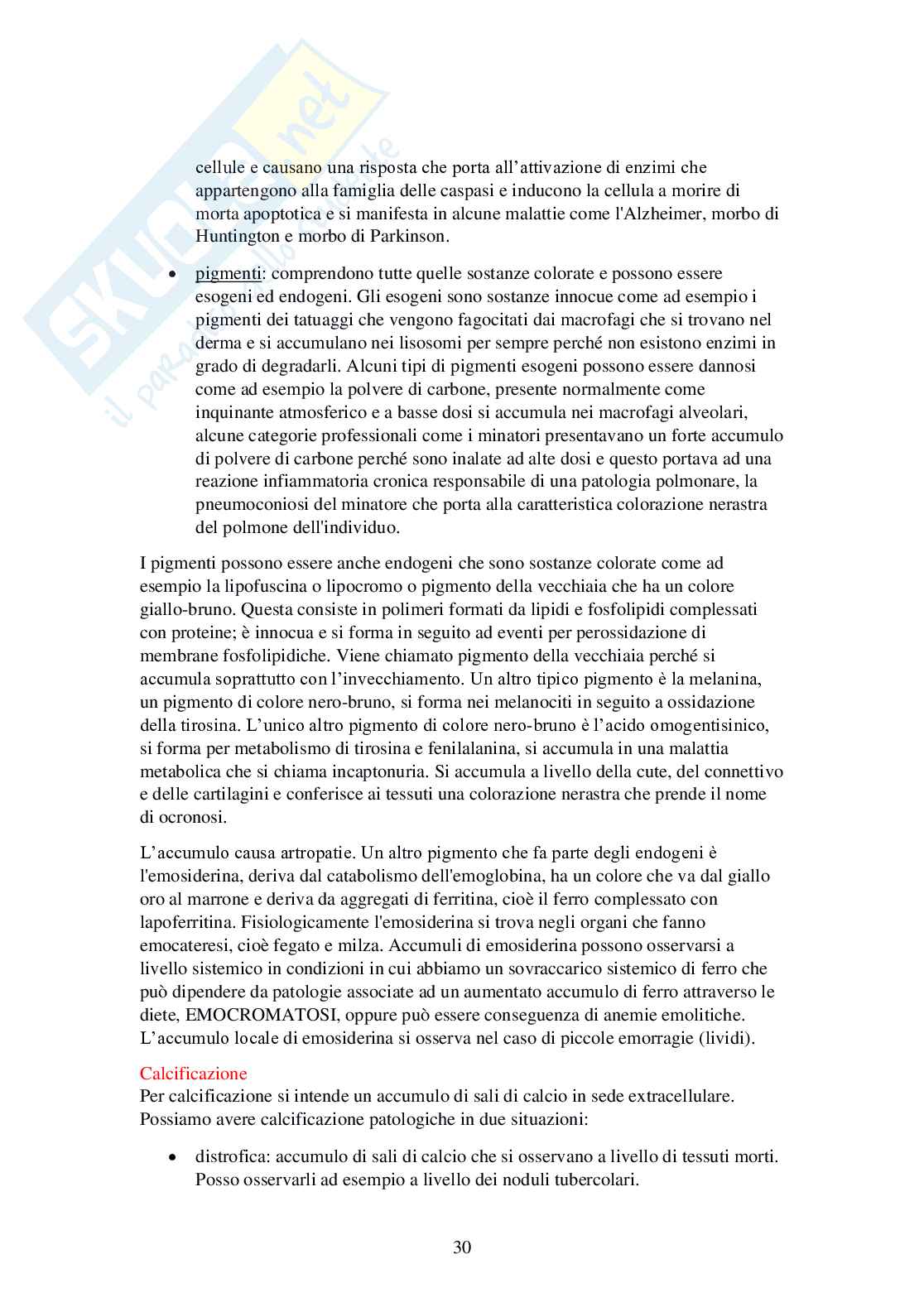 Patologia (terminologia medica) Pag. 31