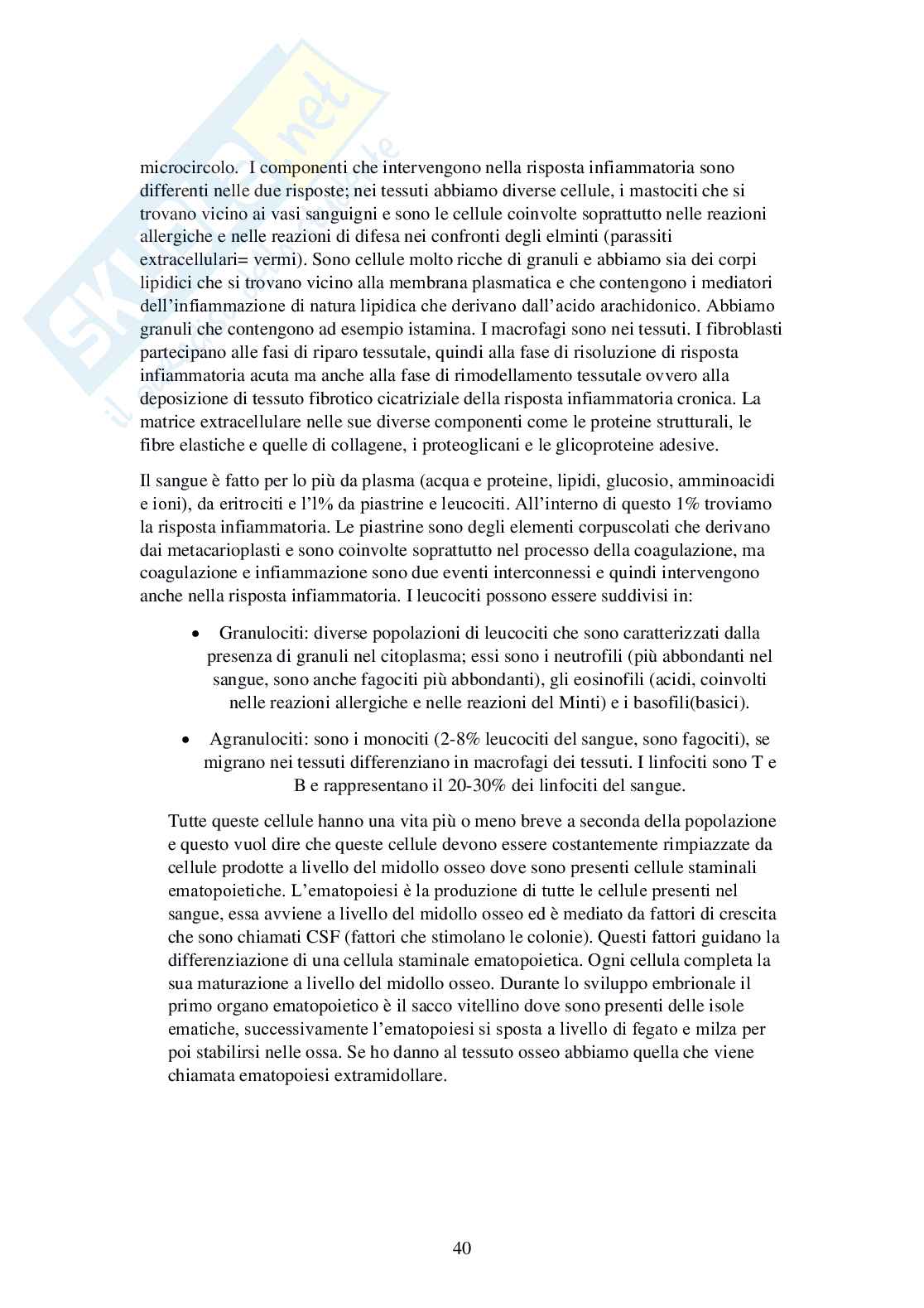 Patologia (terminologia medica) Pag. 41