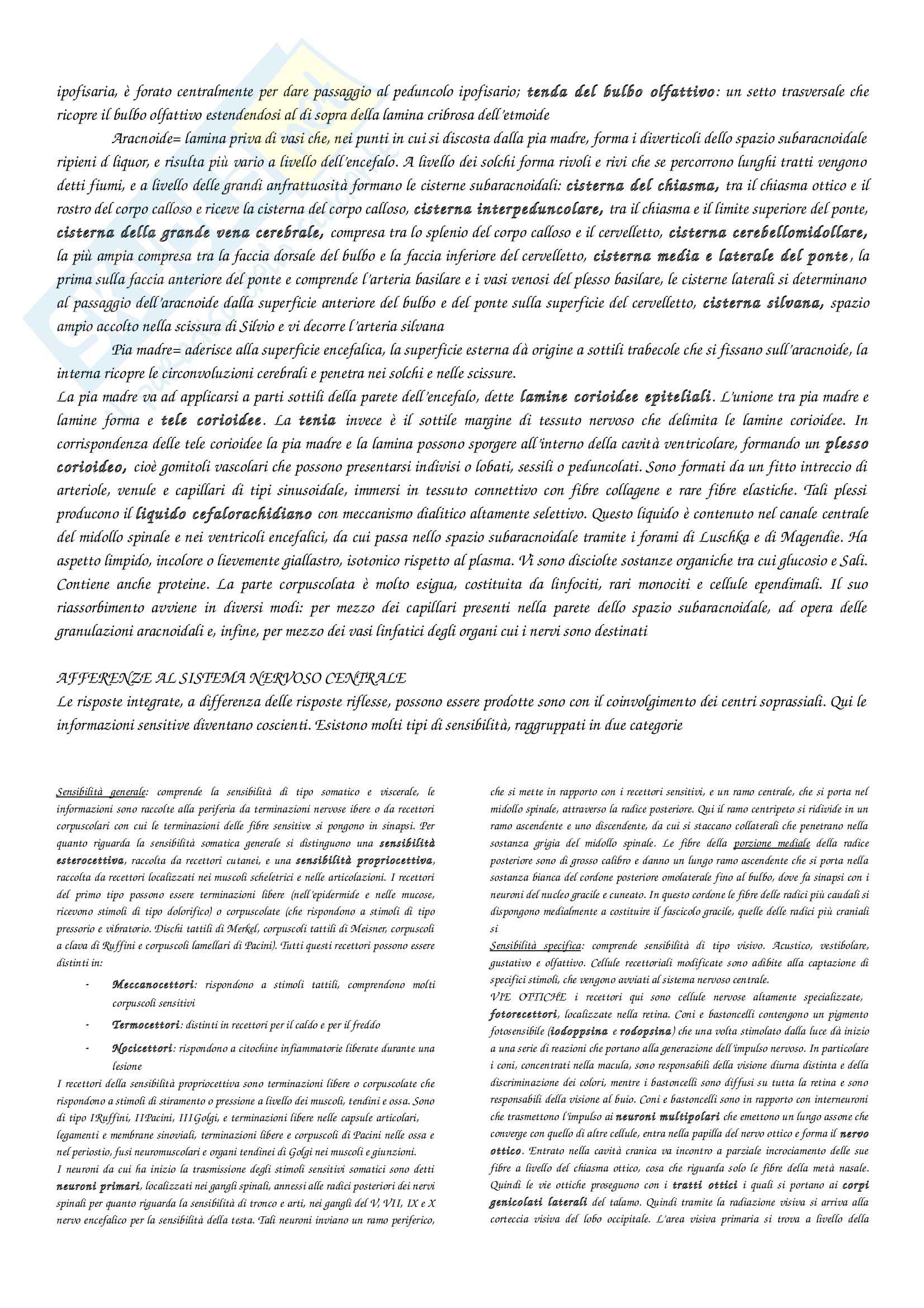 Anatomia con elementi di istologia - sistema nervoso centrale Pag. 11