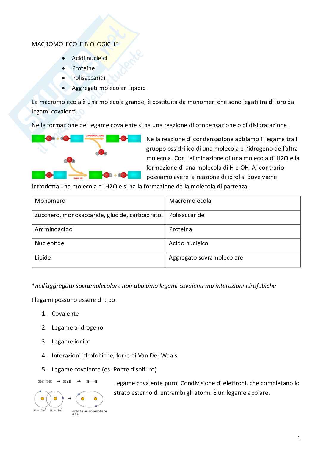 Riassunto esame Biologia animale, Prof. Costa Barbara, libro consigliato Biologia e Genetica , De Leo Pag. 1