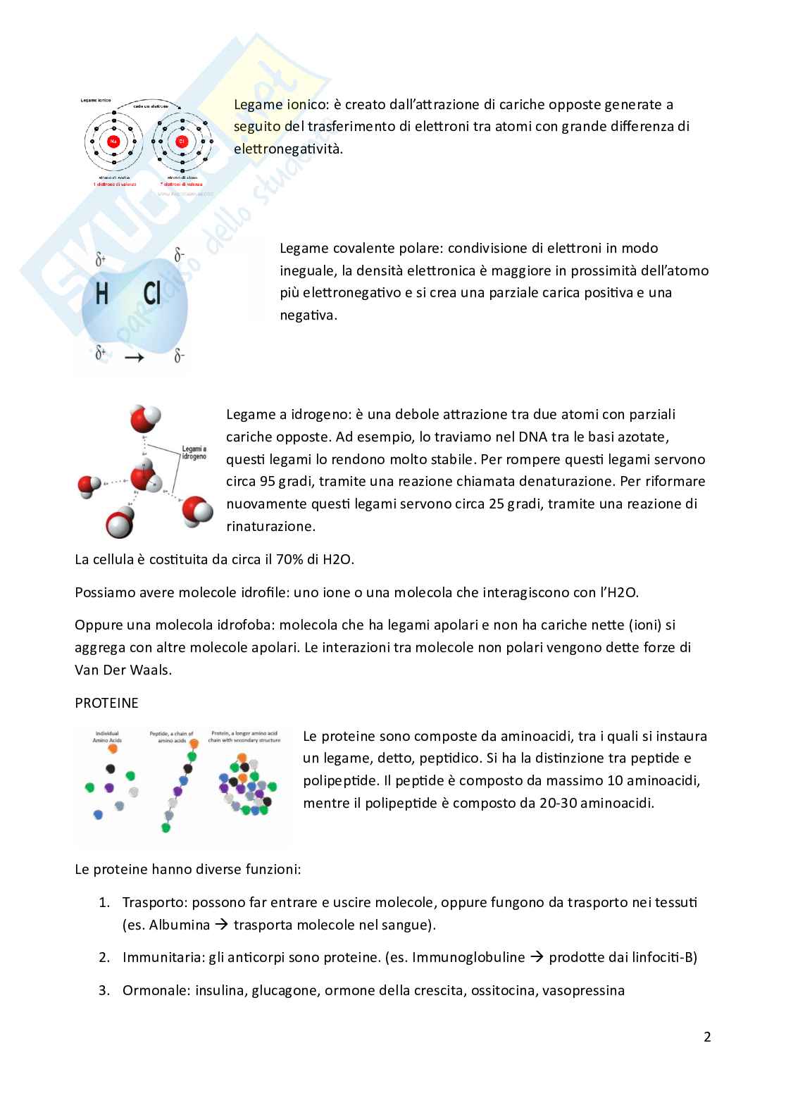 Riassunto esame Biologia animale, Prof. Costa Barbara, libro consigliato Biologia e Genetica , De Leo Pag. 2