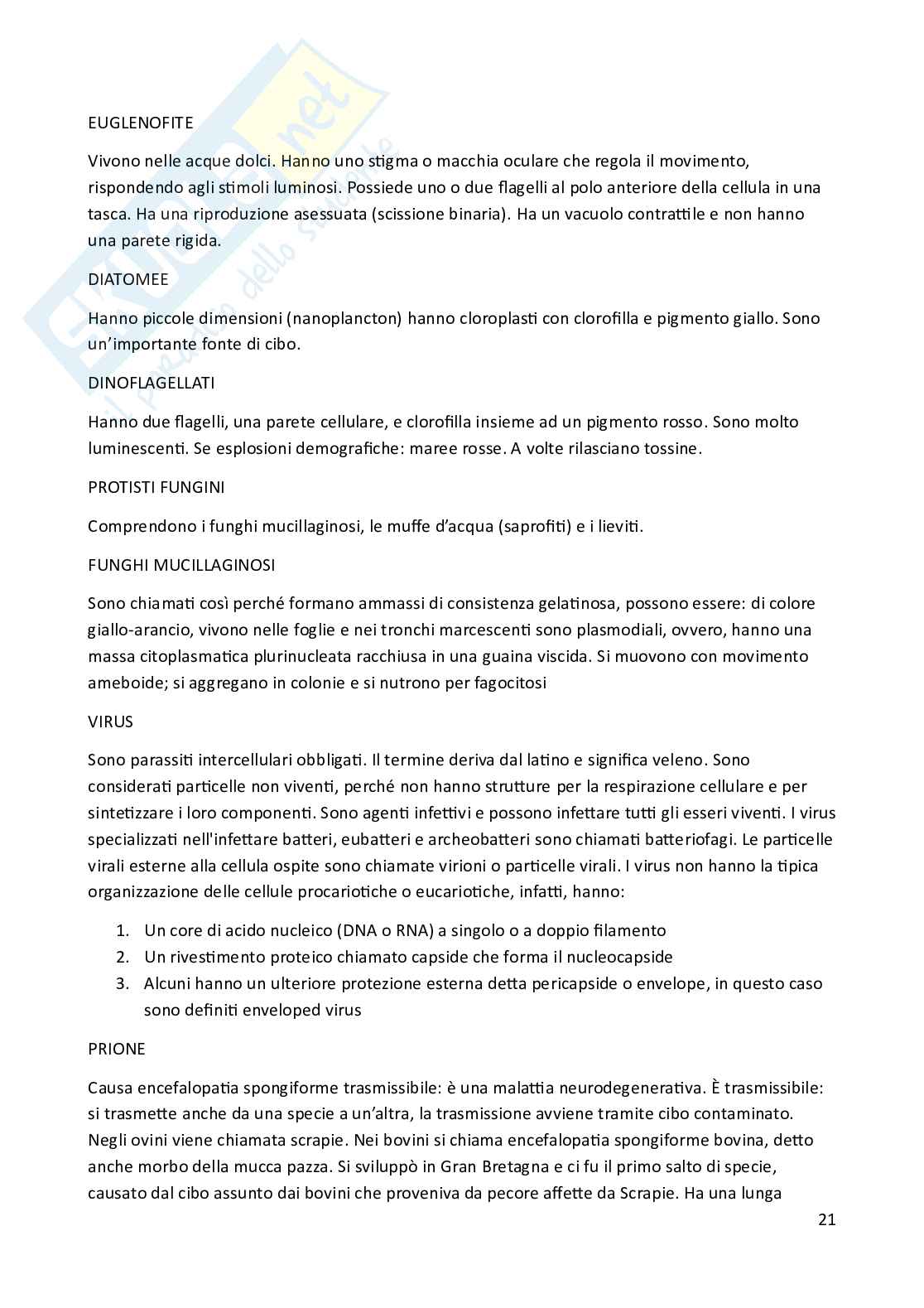 Riassunto esame Biologia animale, Prof. Costa Barbara, libro consigliato Biologia e Genetica , De Leo Pag. 21