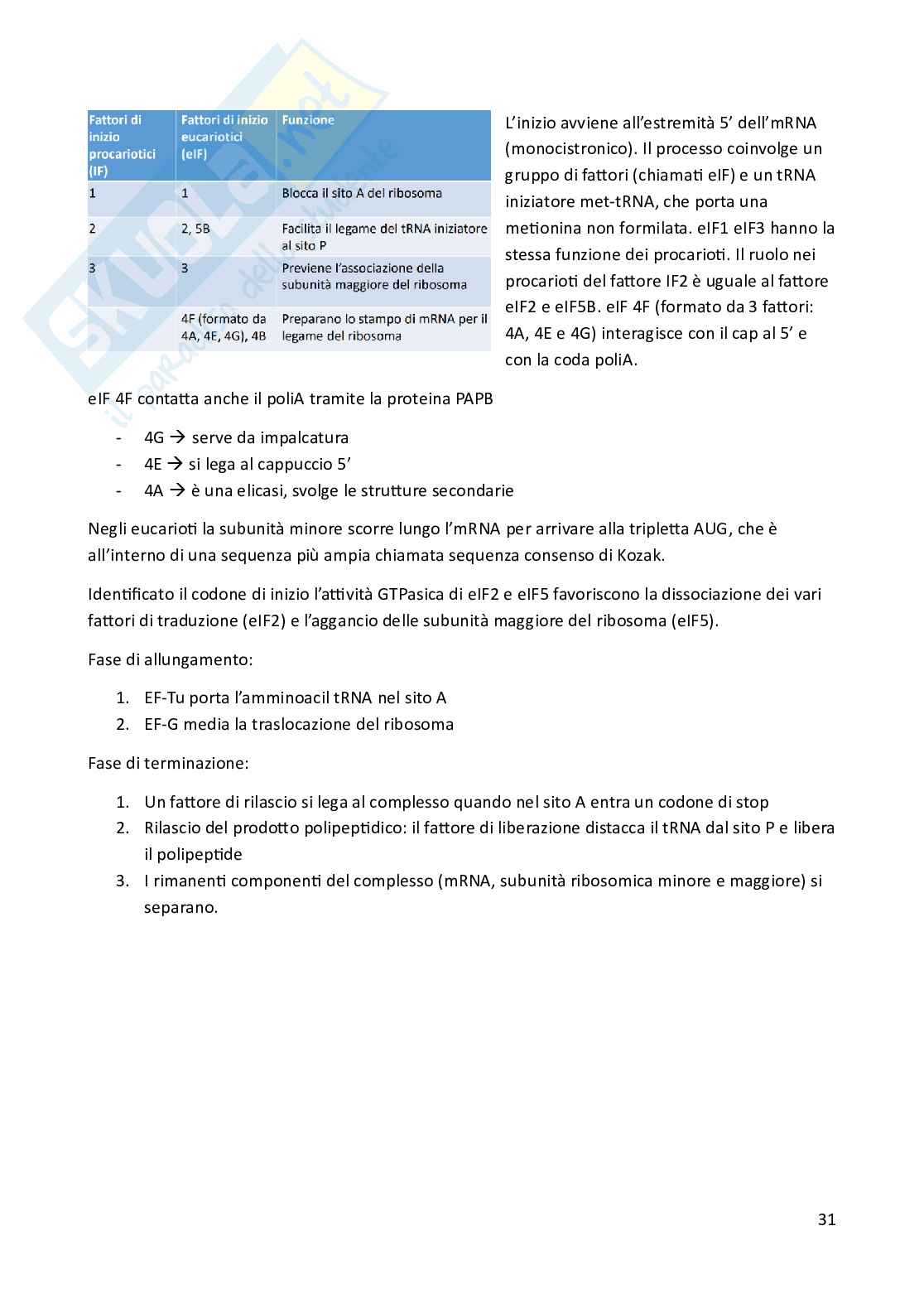 Riassunto esame Biologia animale, Prof. Costa Barbara, libro consigliato Biologia e Genetica , De Leo Pag. 31