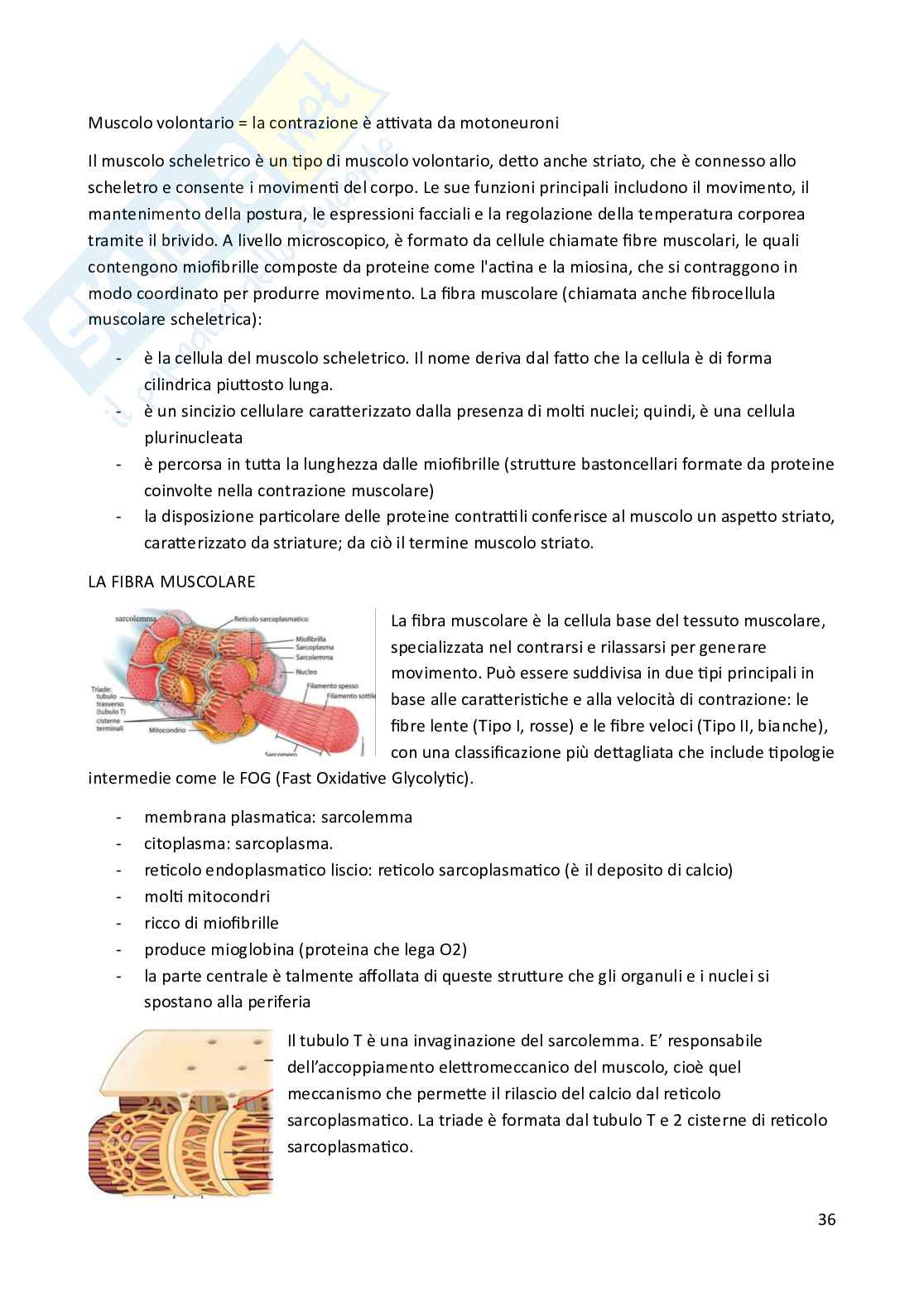 Riassunto esame Biologia animale, Prof. Costa Barbara, libro consigliato Biologia e Genetica , De Leo Pag. 36