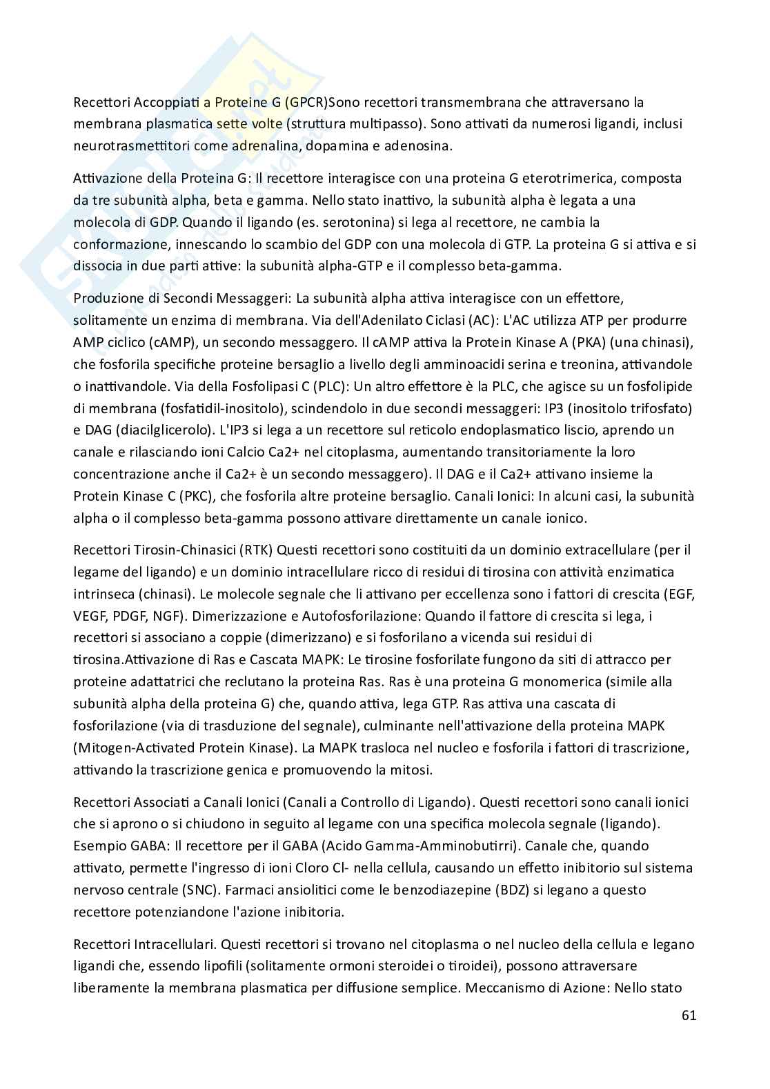 Riassunto esame Biologia animale, Prof. Costa Barbara, libro consigliato Biologia e Genetica , De Leo Pag. 61