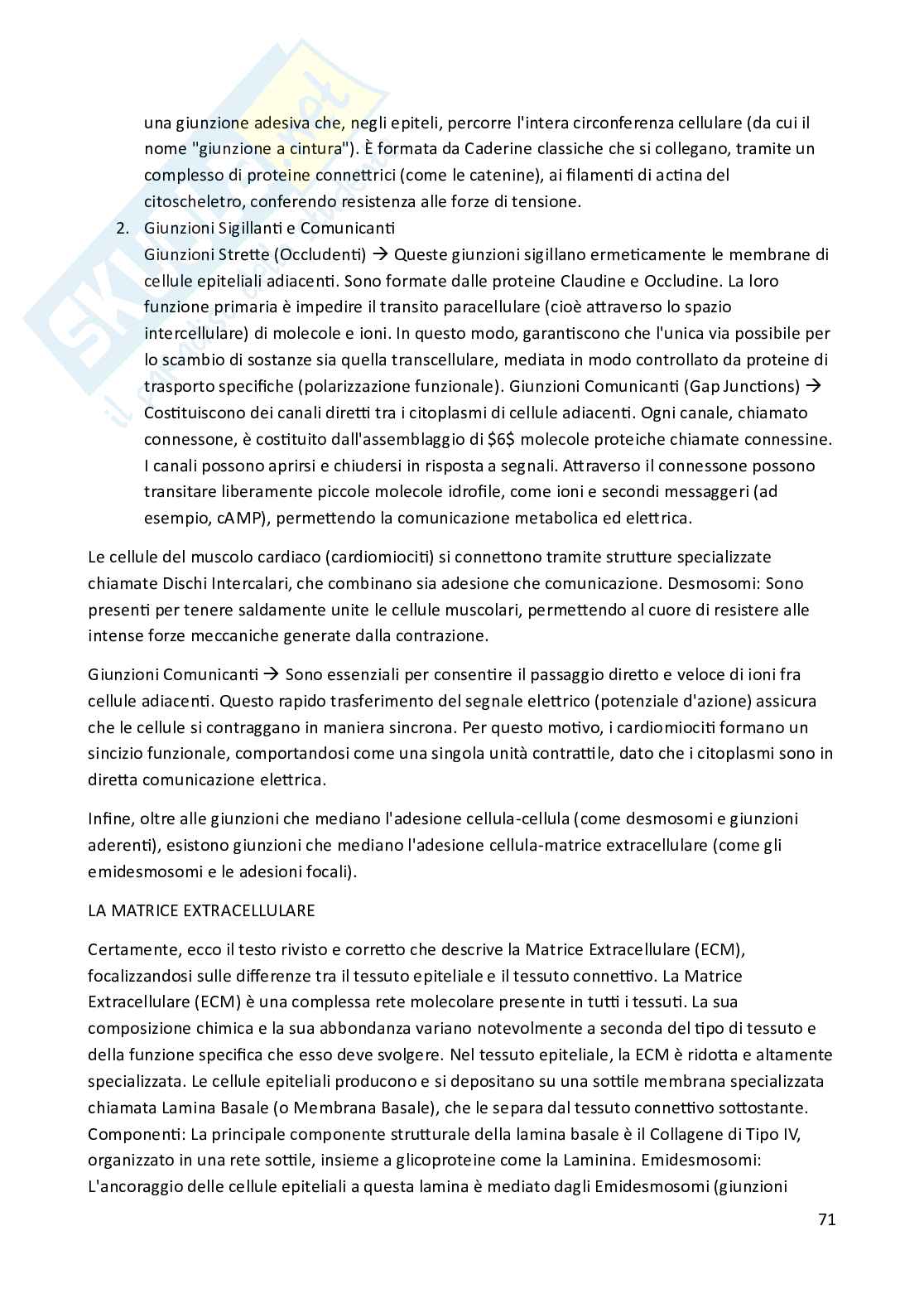 Riassunto esame Biologia animale, Prof. Costa Barbara, libro consigliato Biologia e Genetica , De Leo Pag. 71