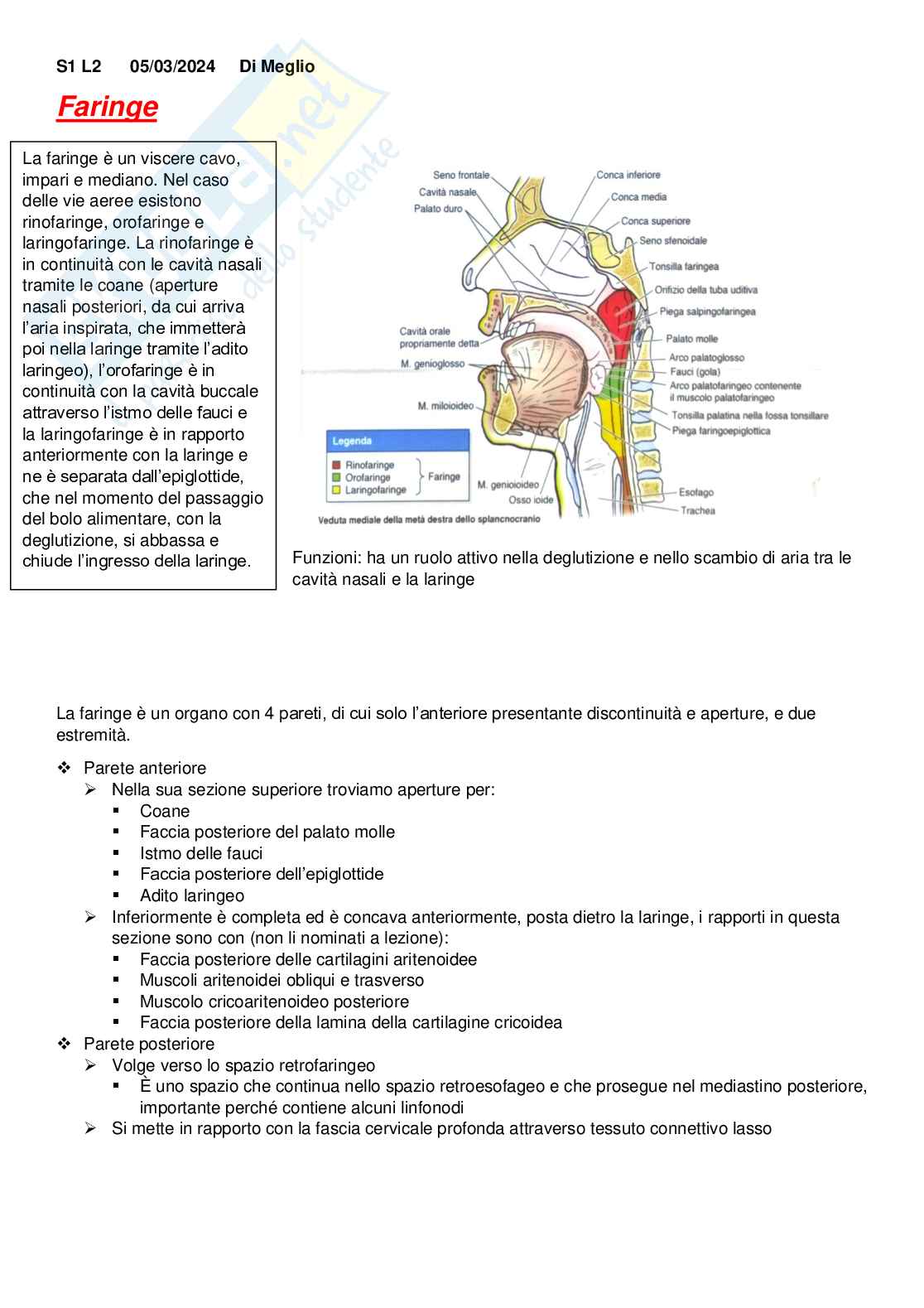Introduzione all'apparato digerente Pag. 1