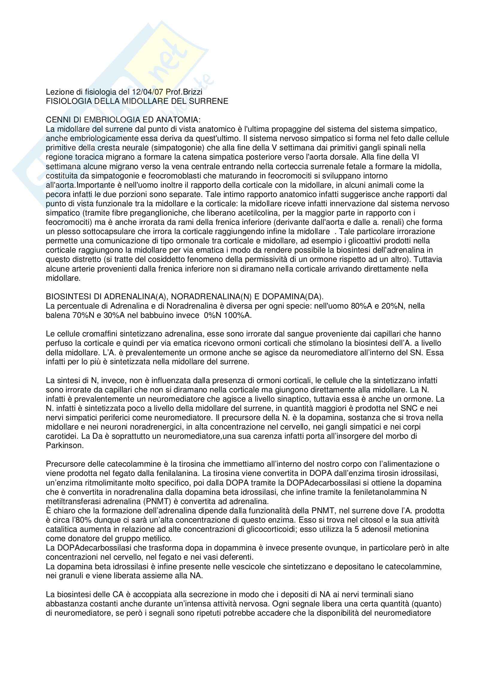 Fisiologia e biofisica - midollare del surrene Pag. 1