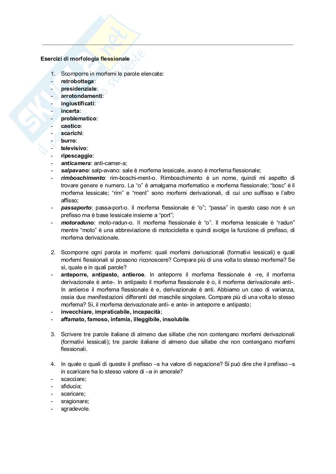 Appunti secondo semestre Linguistica generale Pag. 21