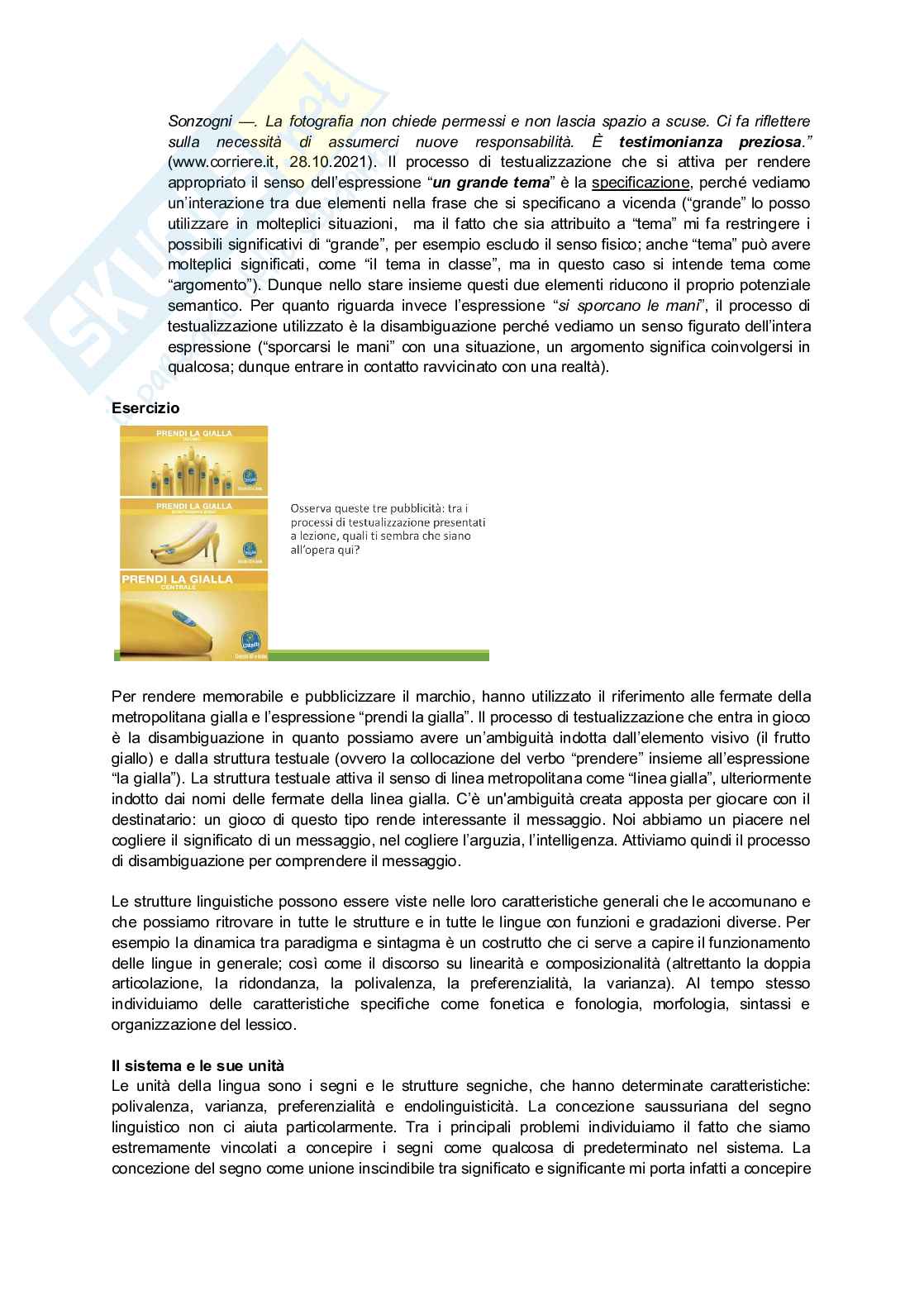 Appunti secondo semestre Linguistica generale Pag. 6