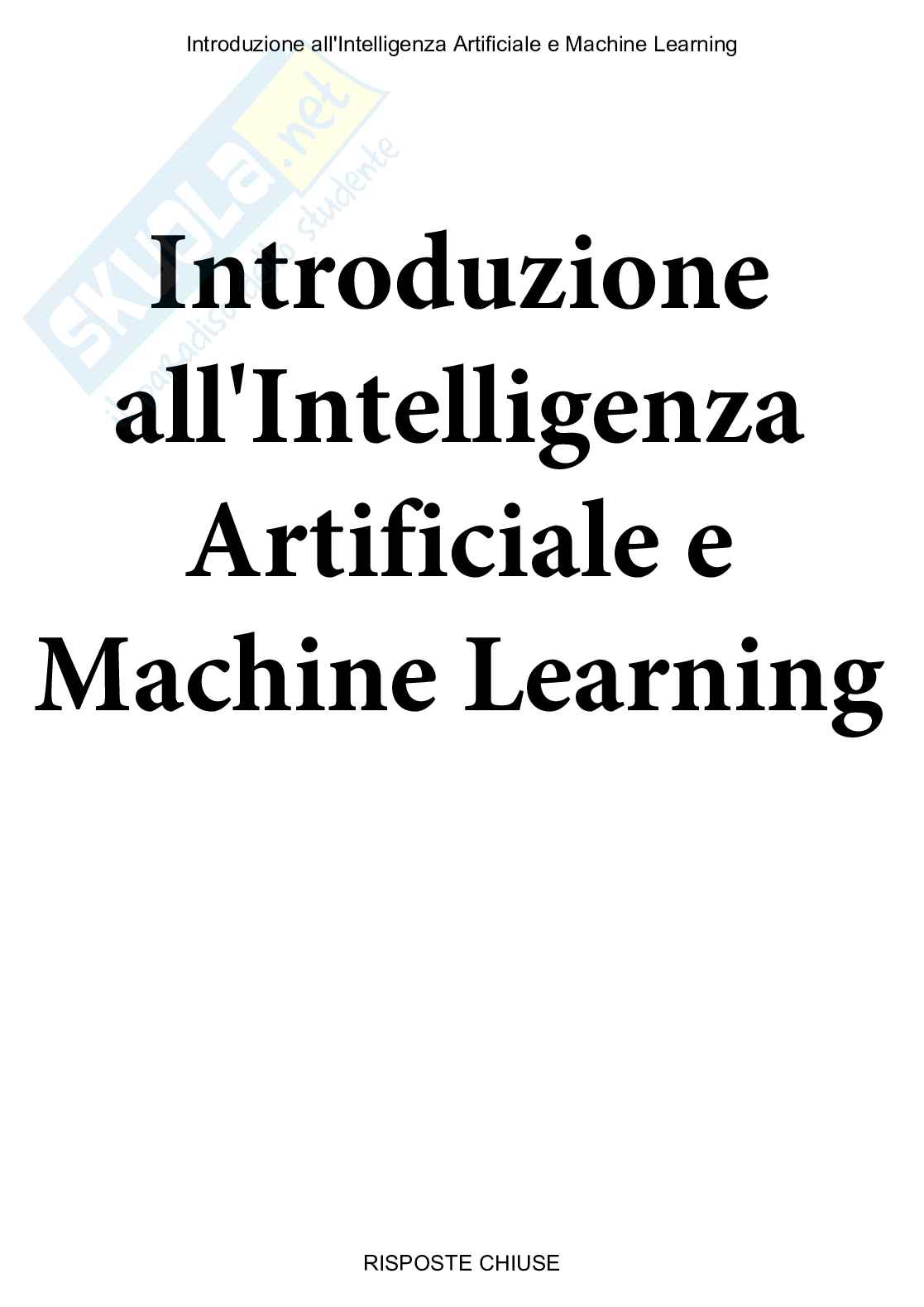 Introduzione all'intelligenza artificiale e machine learning - Paniere compilato Pag. 1