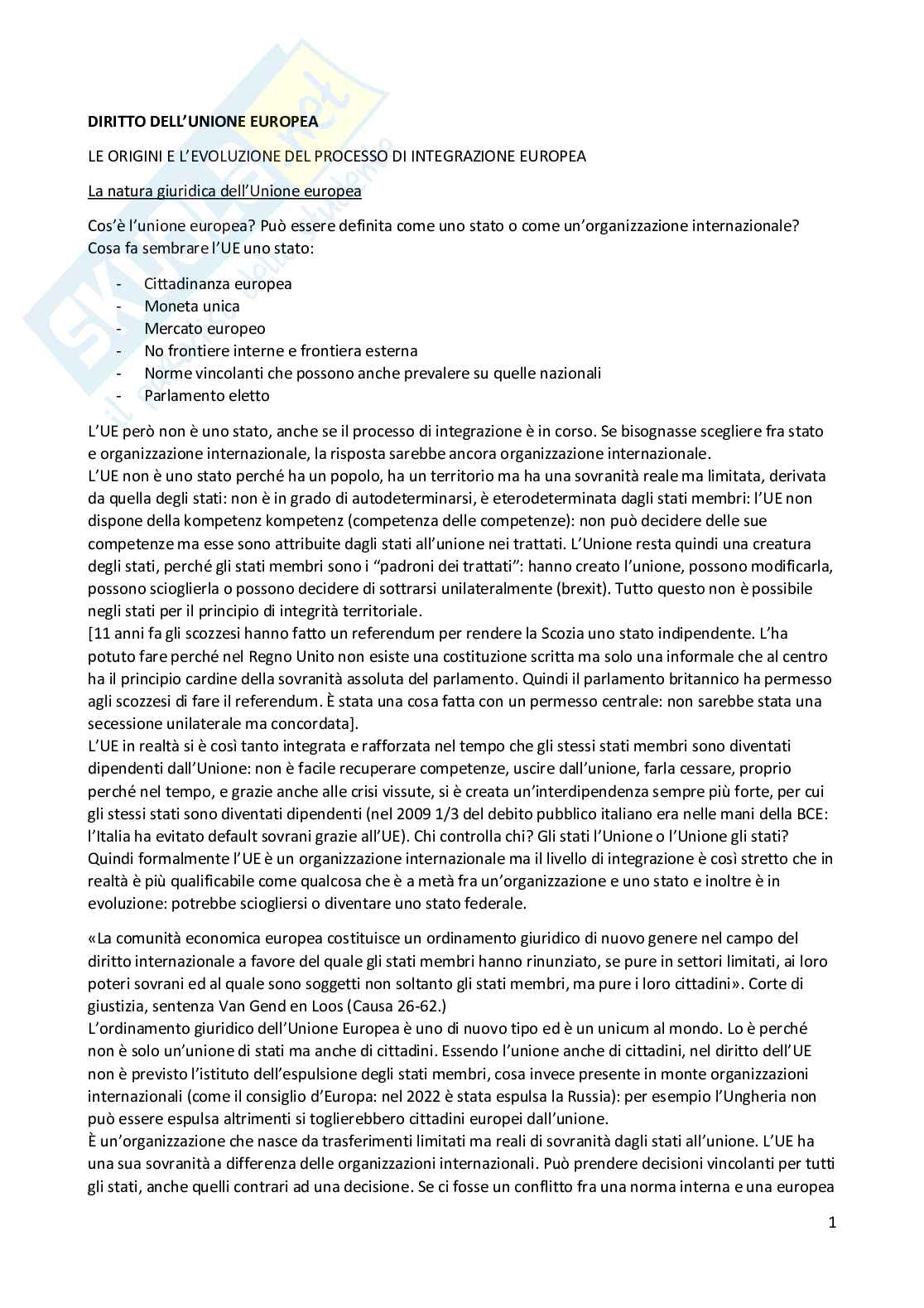 Appunti del corso di Diritto dell'Unione Europea Pag. 1