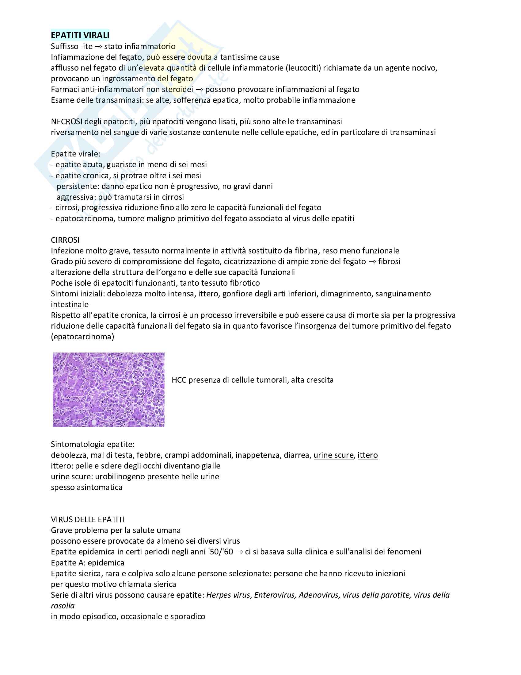 Microbiologia e virologia medica Pag. 31