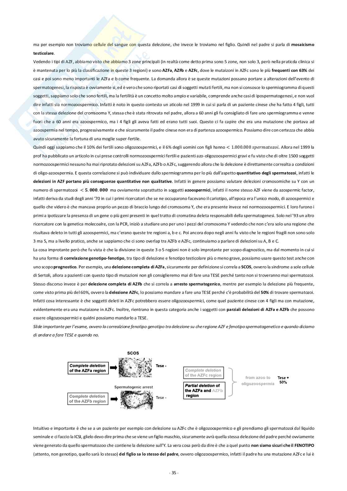 Medicina della riproduzione Pag. 36