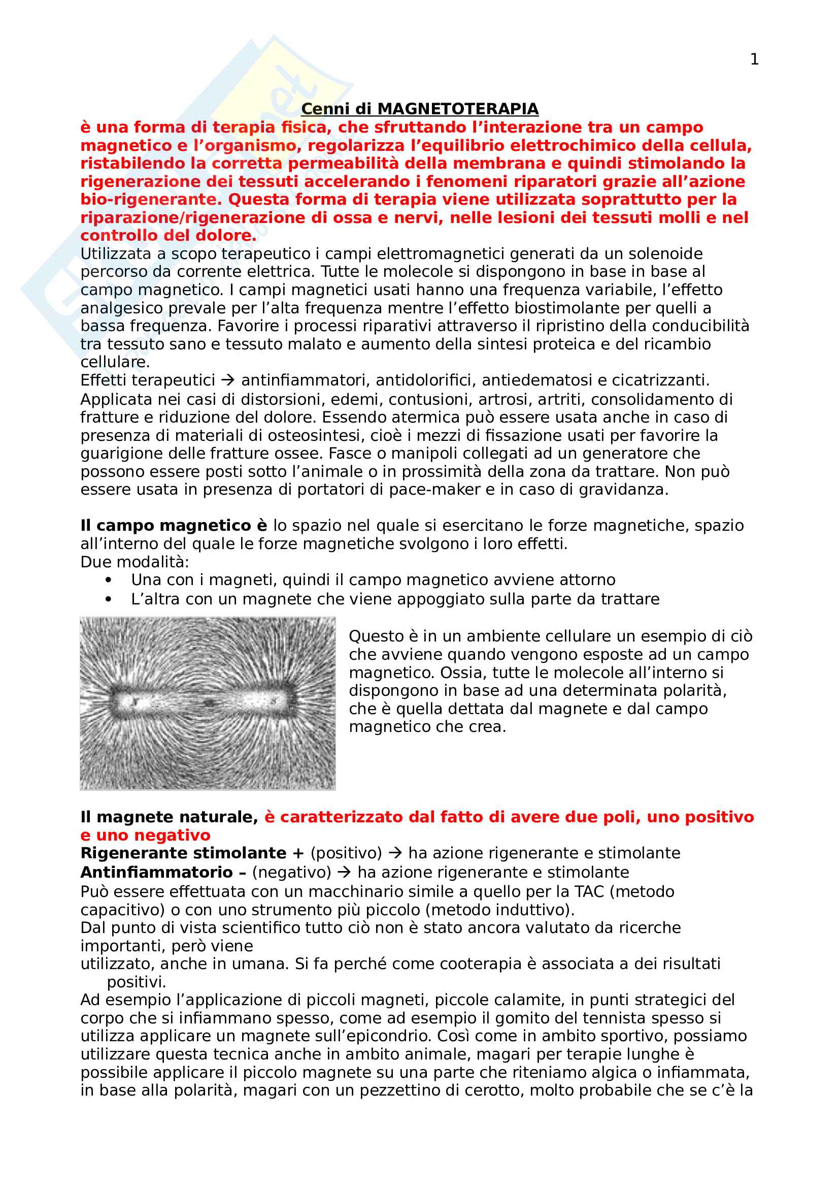 Magnetoterapia Pag. 1