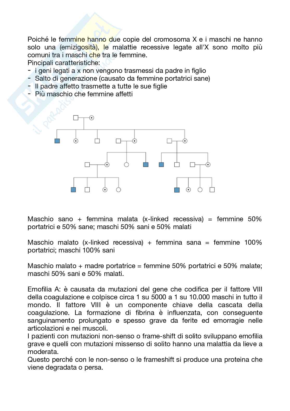 Appunti di Genetica per medicina Pag. 11