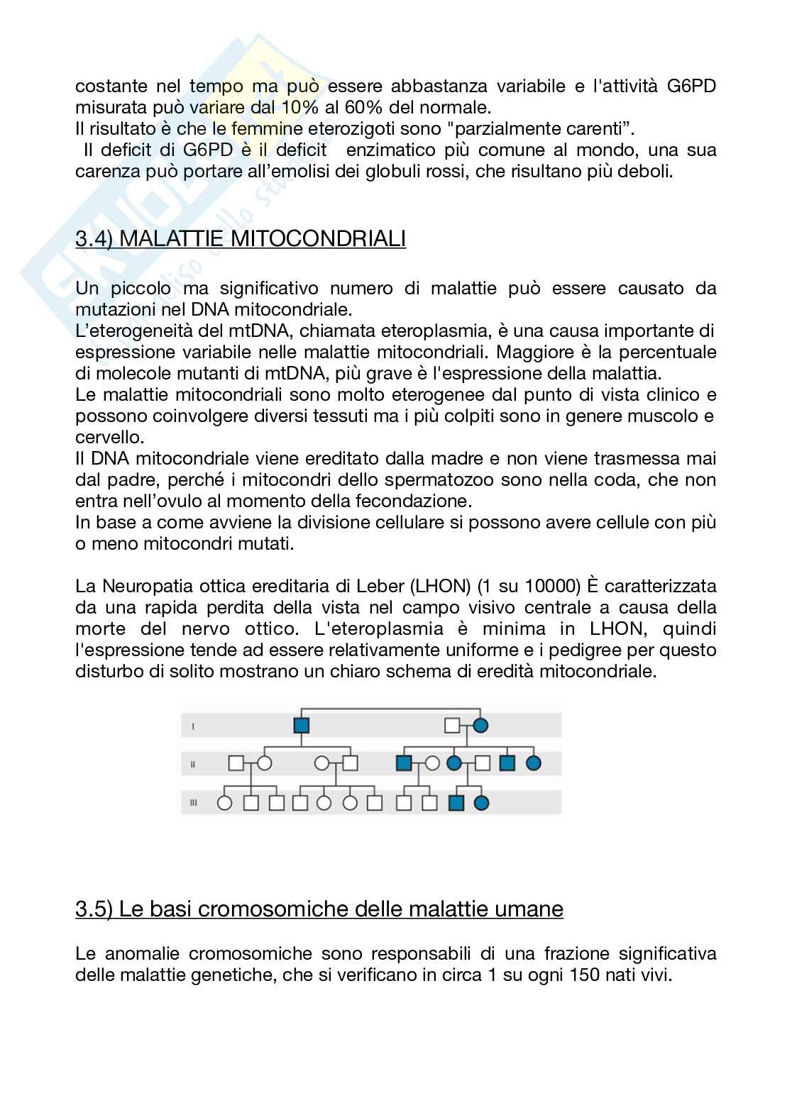 Appunti di Genetica per medicina Pag. 16