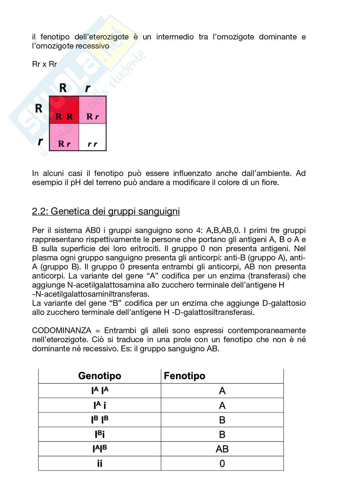 Appunti di Genetica per medicina Pag. 6