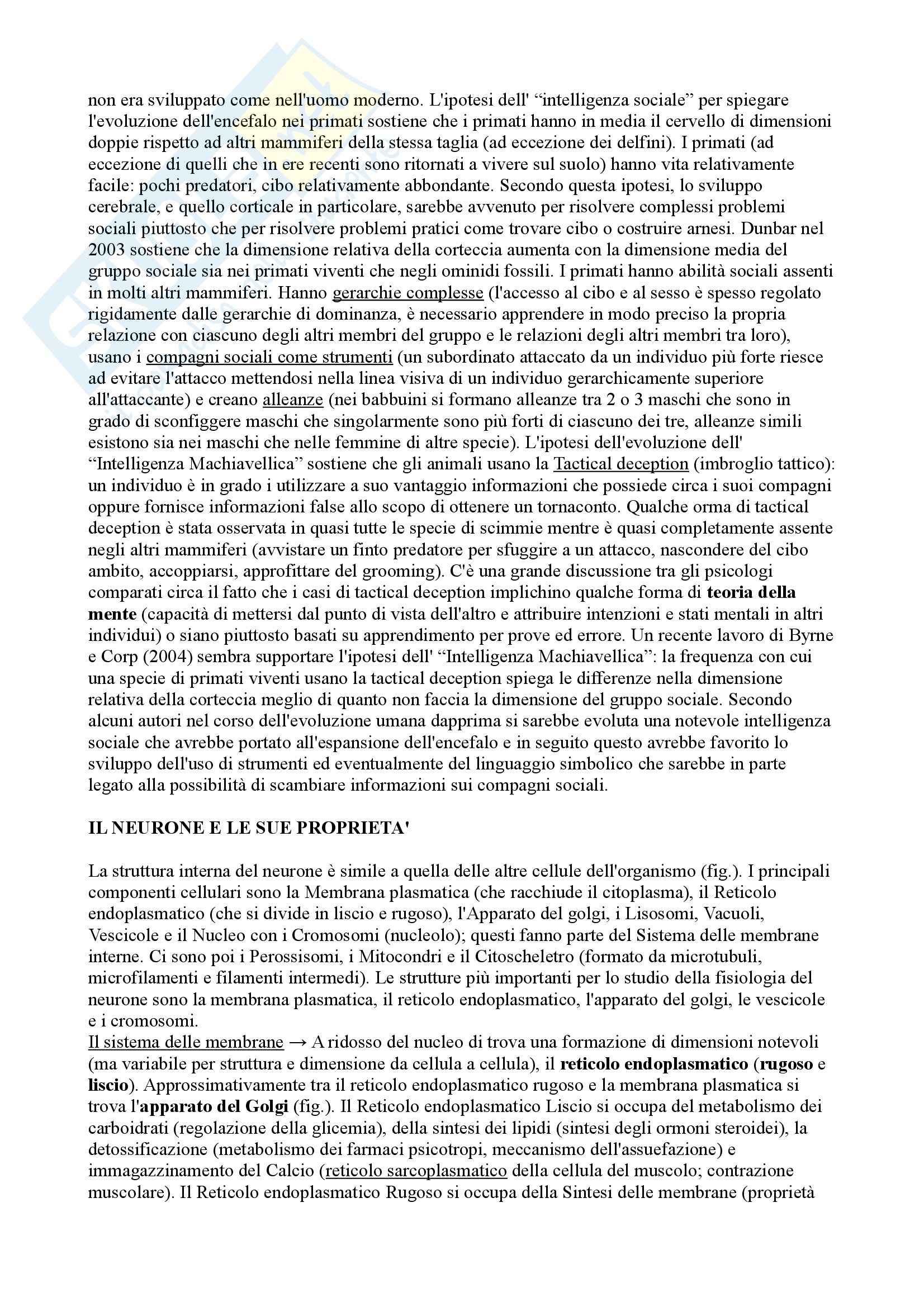 Riassunto esame Psicobiologia, prof. Bisazza Pag. 11