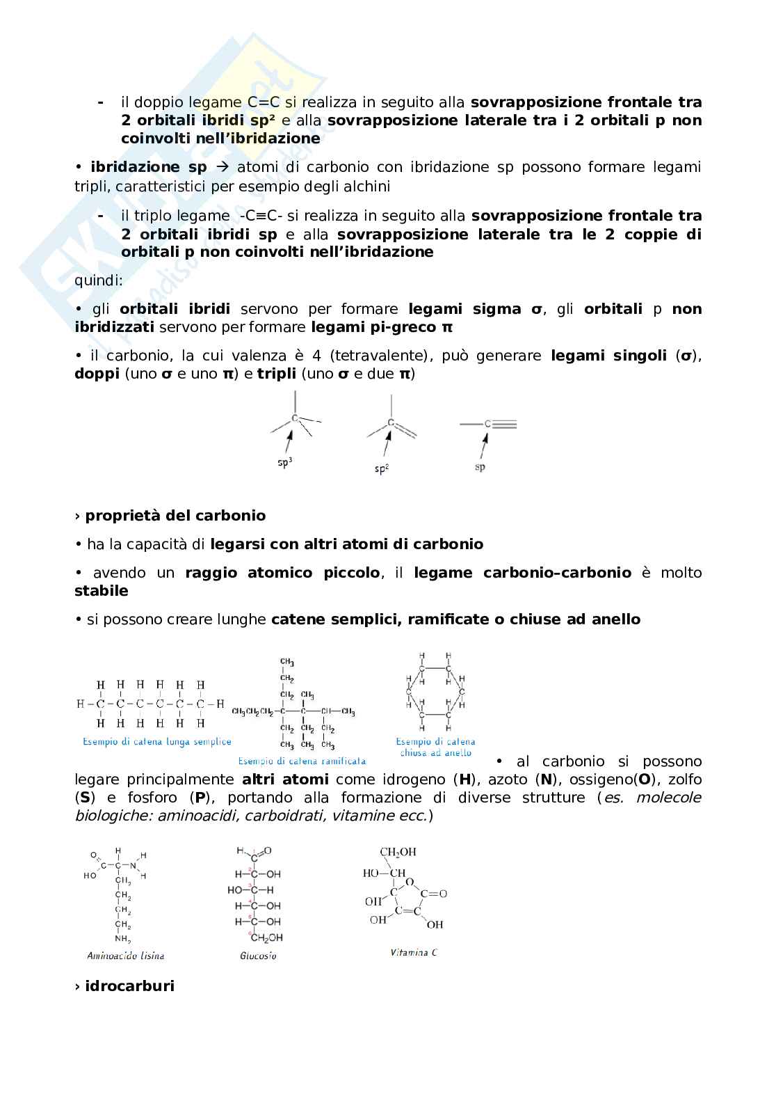Appunti Come nasce e come funziona un farmaco Pag. 16