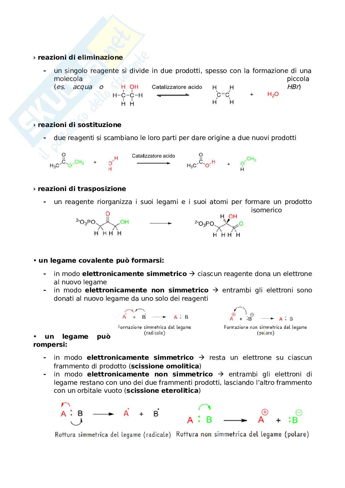 Appunti Come nasce e come funziona un farmaco Pag. 26