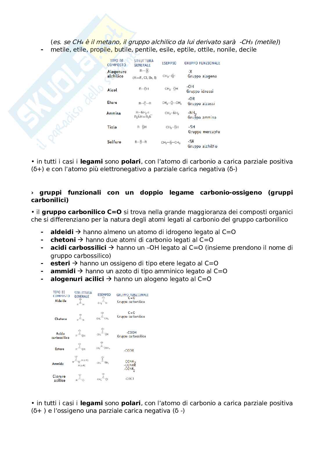Appunti Come nasce e come funziona un farmaco Pag. 31