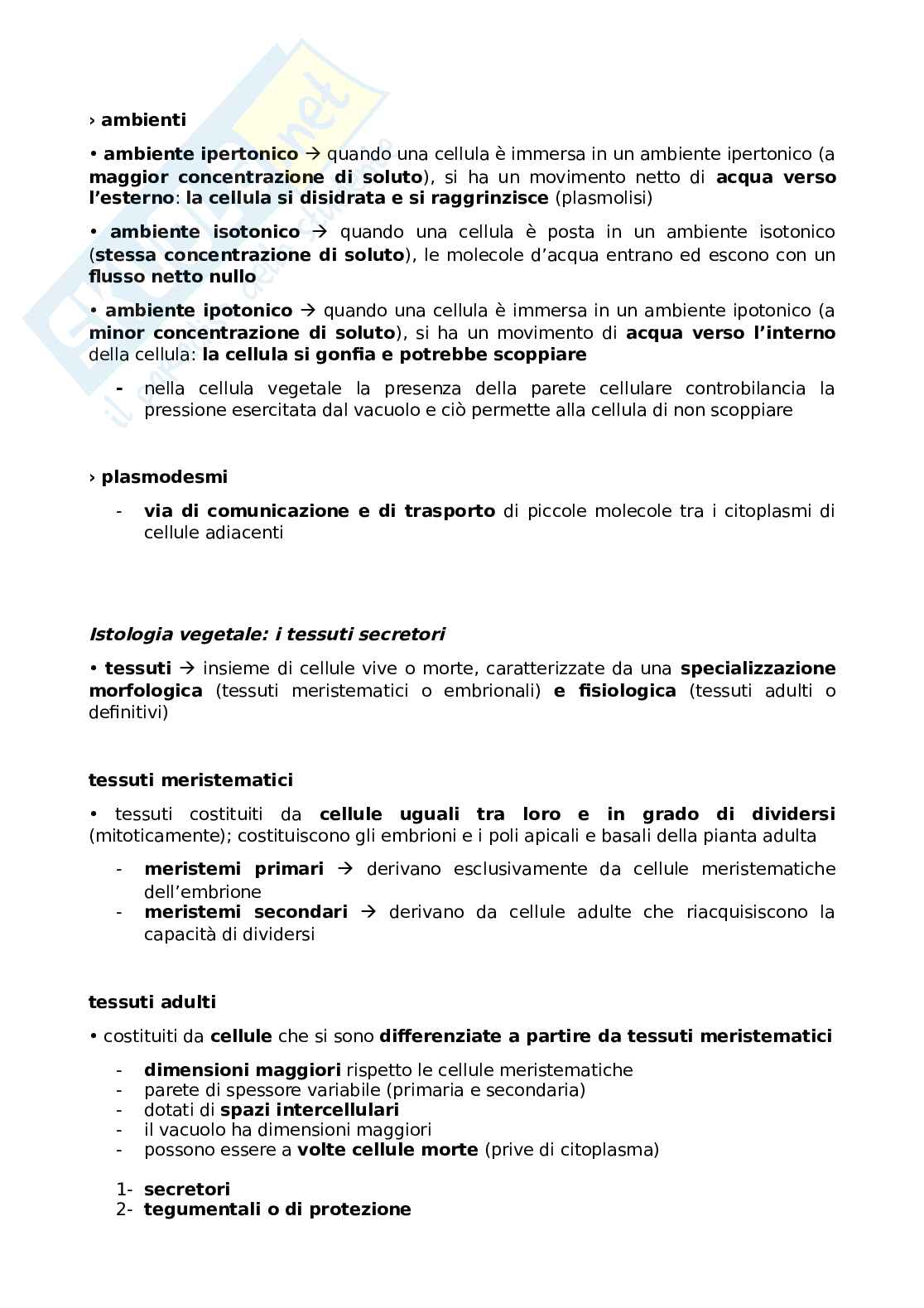 Appunti Come nasce e come funziona un farmaco Pag. 41