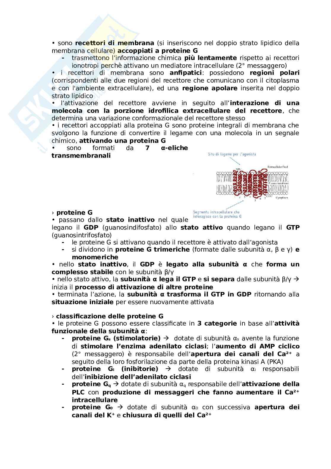 Appunti Come nasce e come funziona un farmaco Pag. 51
