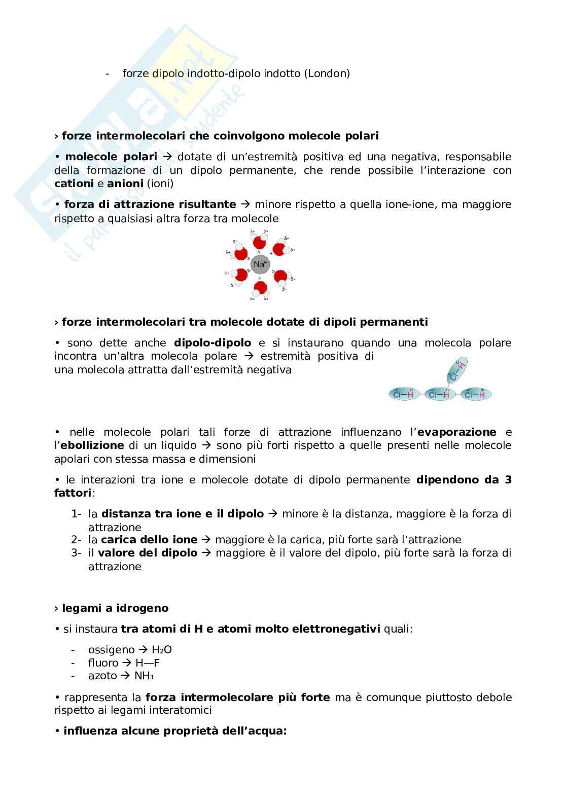 Appunti Come nasce e come funziona un farmaco Pag. 6