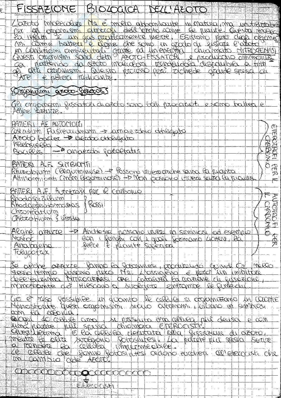 Biochimica e fisiologia vegetale Pag. 41