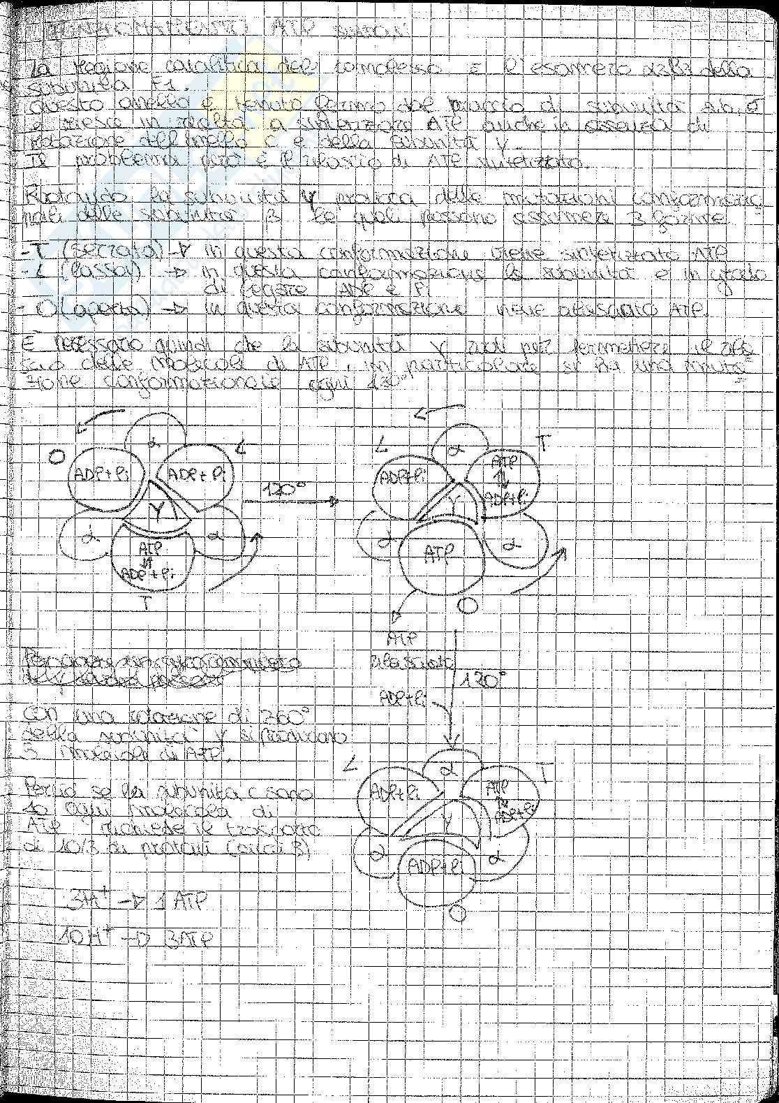 Biochimica e fisiologia vegetale Pag. 71