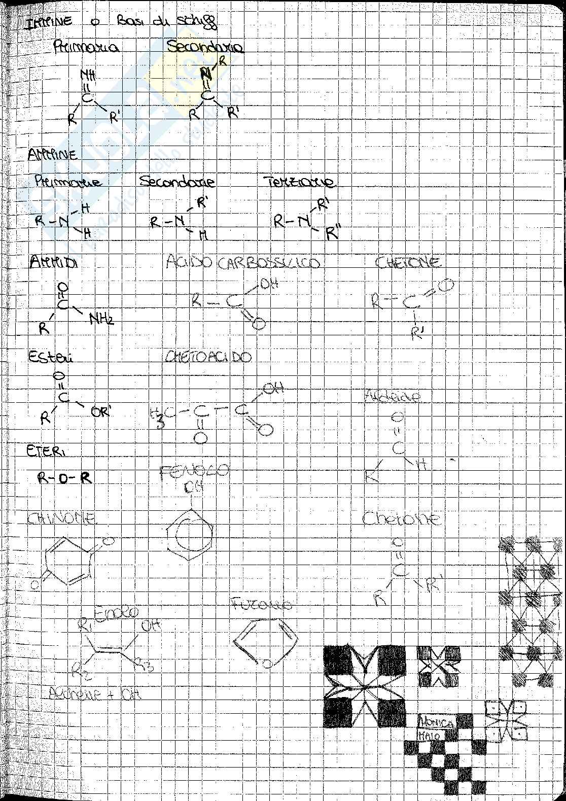 Biochimica e fisiologia vegetale Pag. 76