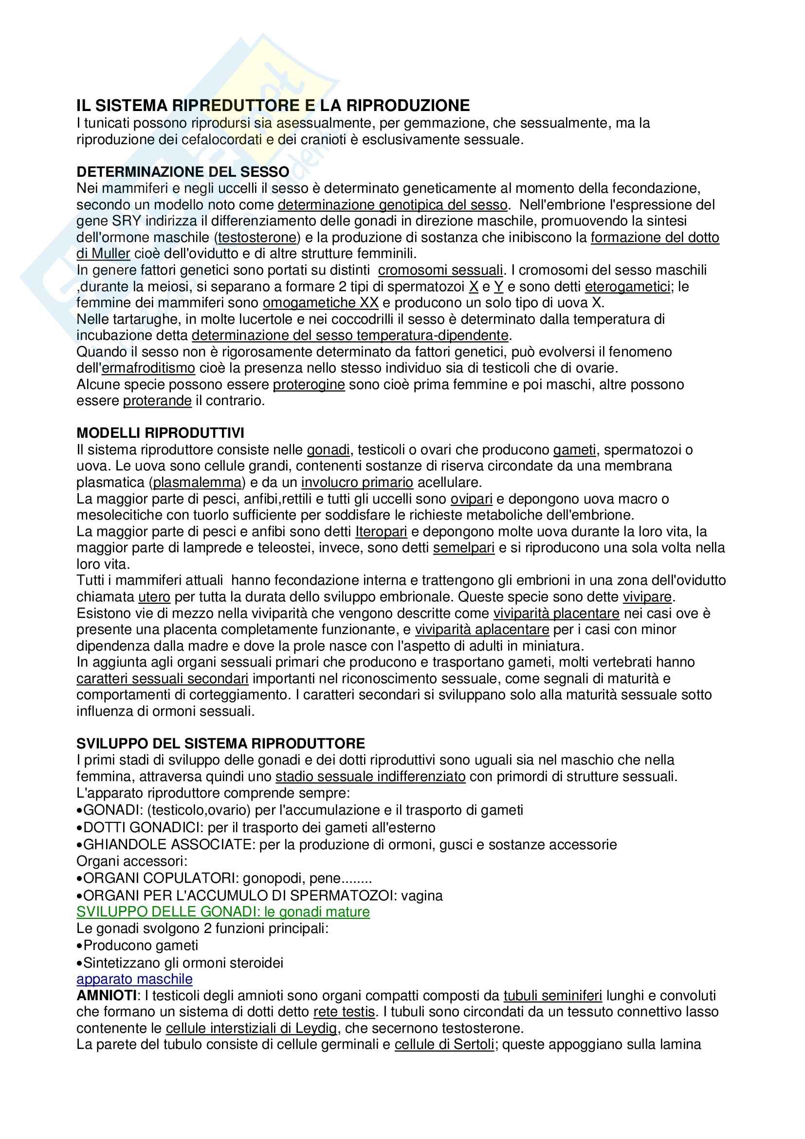 Anatomia Comparata dei Vertebrati Pag. 16