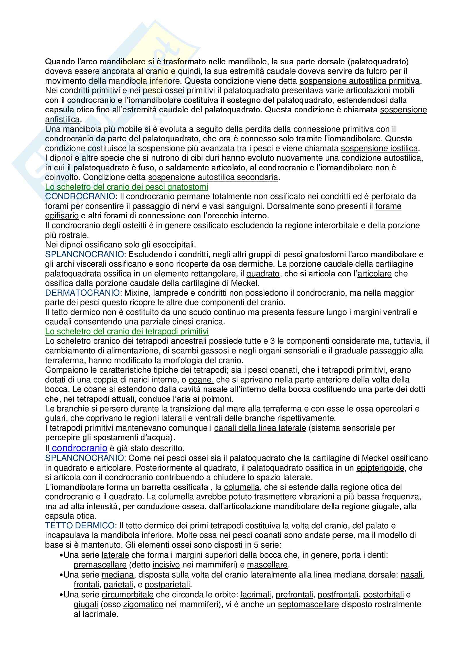 Anatomia Comparata dei Vertebrati Pag. 6