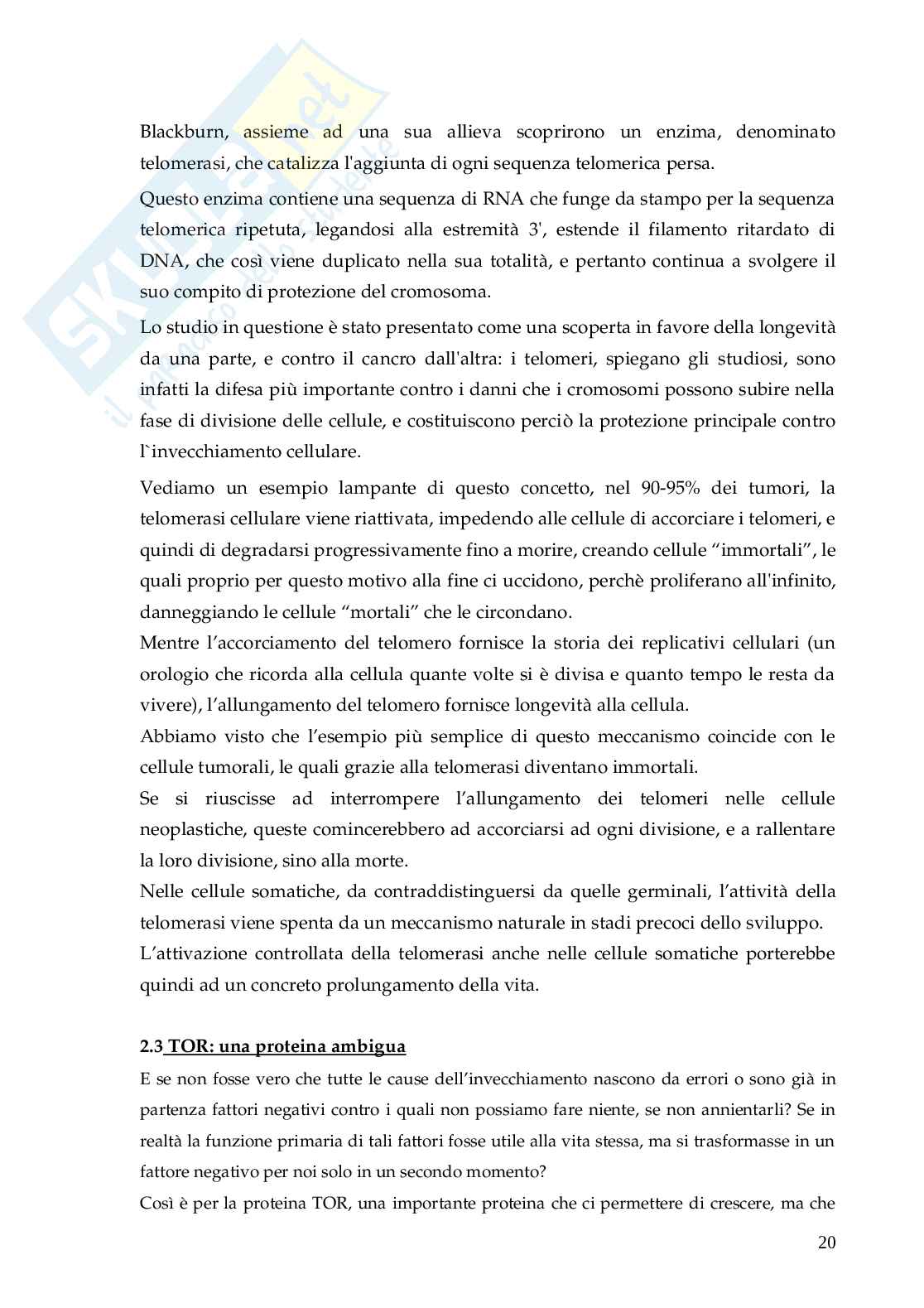 Tesina sull'Immortalità Pag. 21
