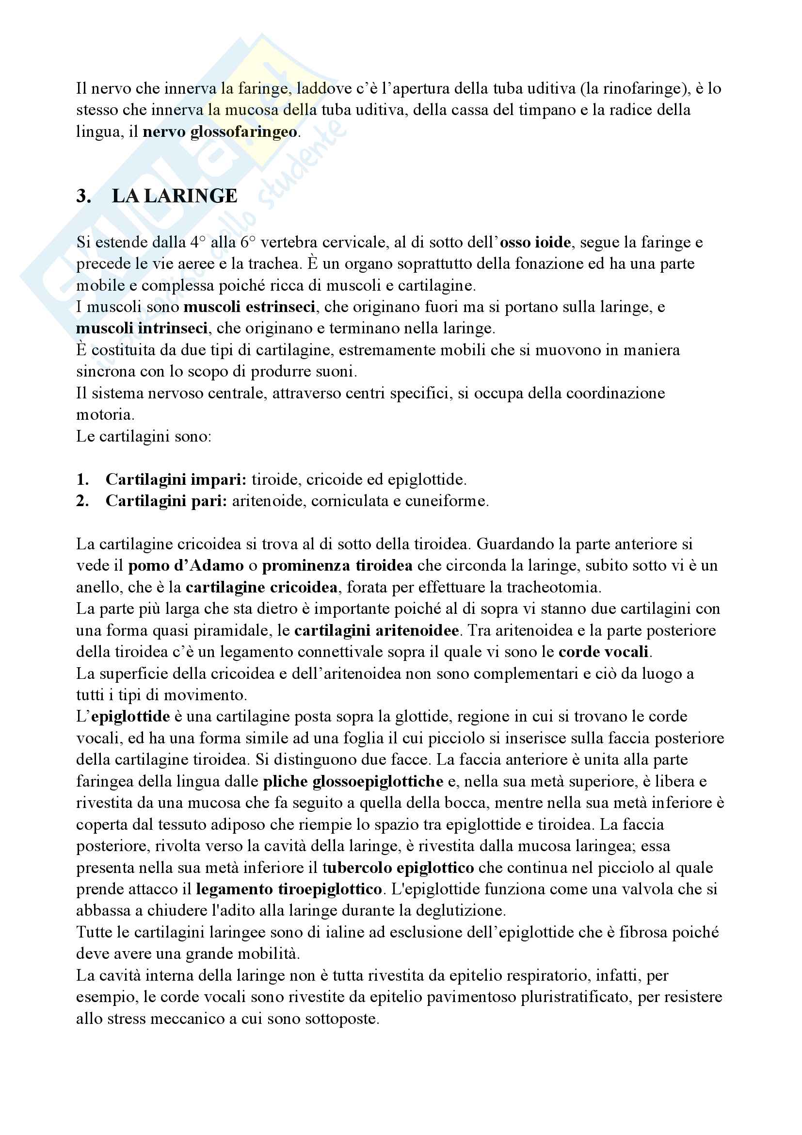 Anatomia Professioni Sanitarie Pag. 61