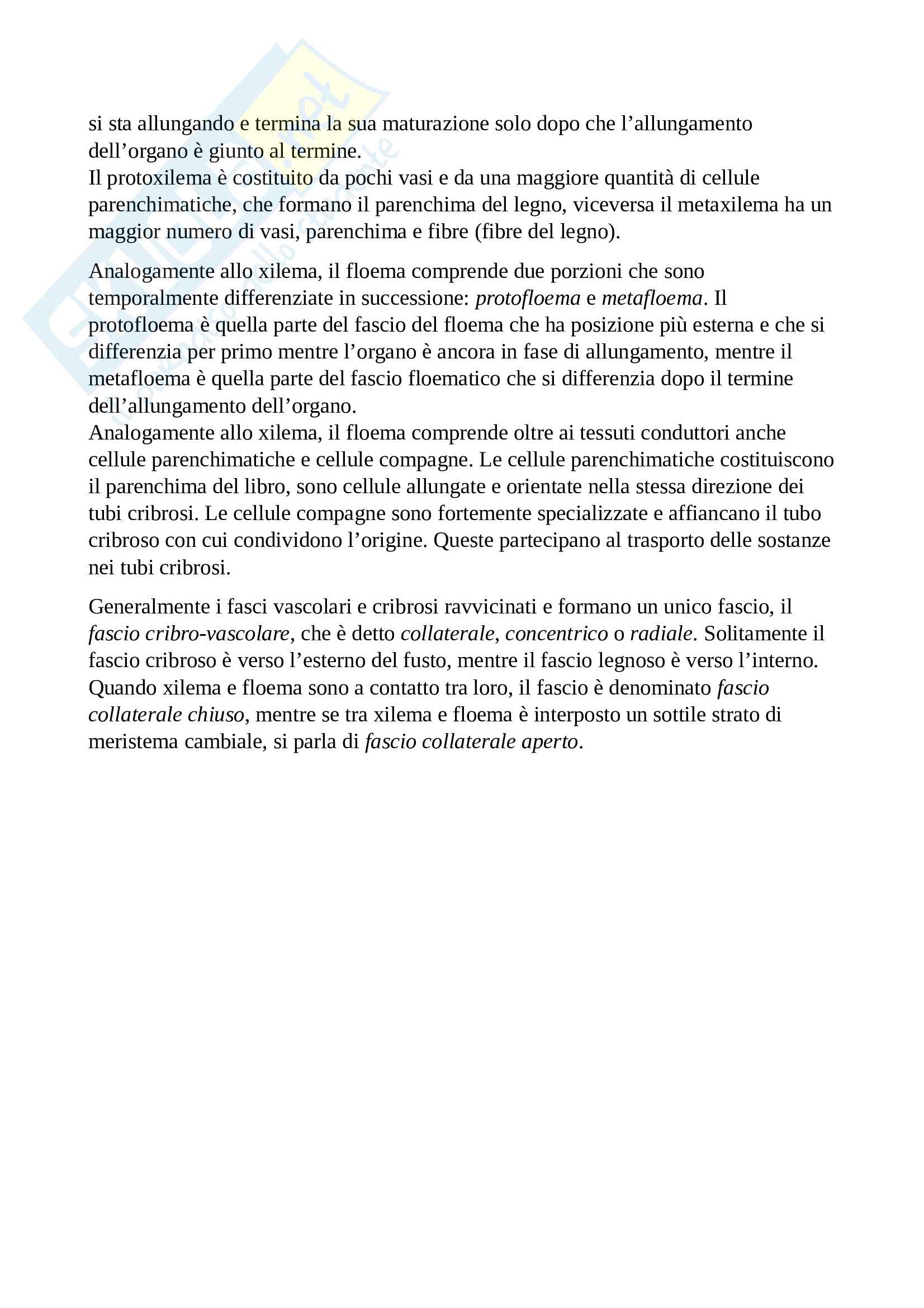 Istologia - Schemi riassuntivi di Biologia Vegetale Pag. 11