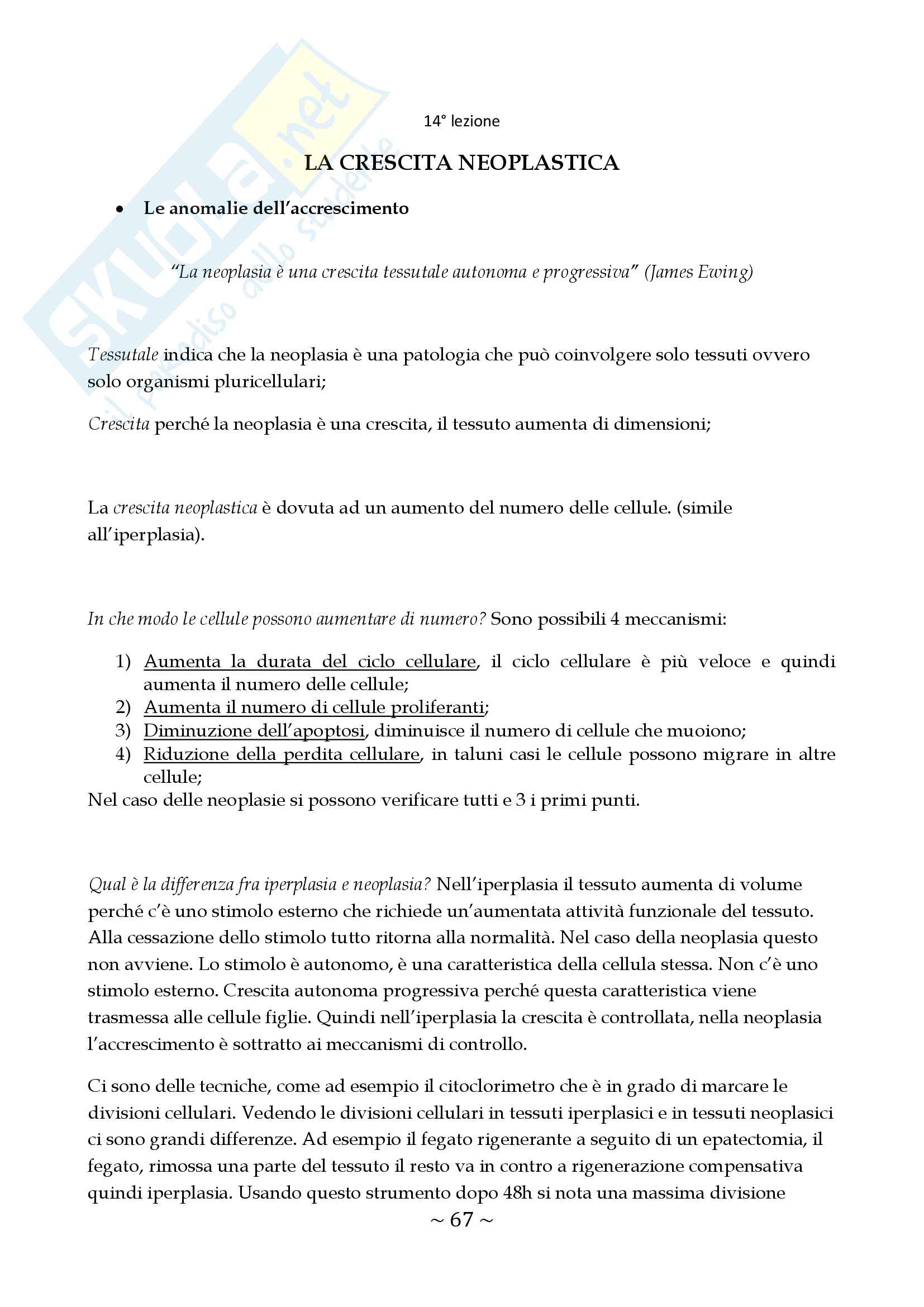 Patologia generale e clinica - Appunti Pag. 66